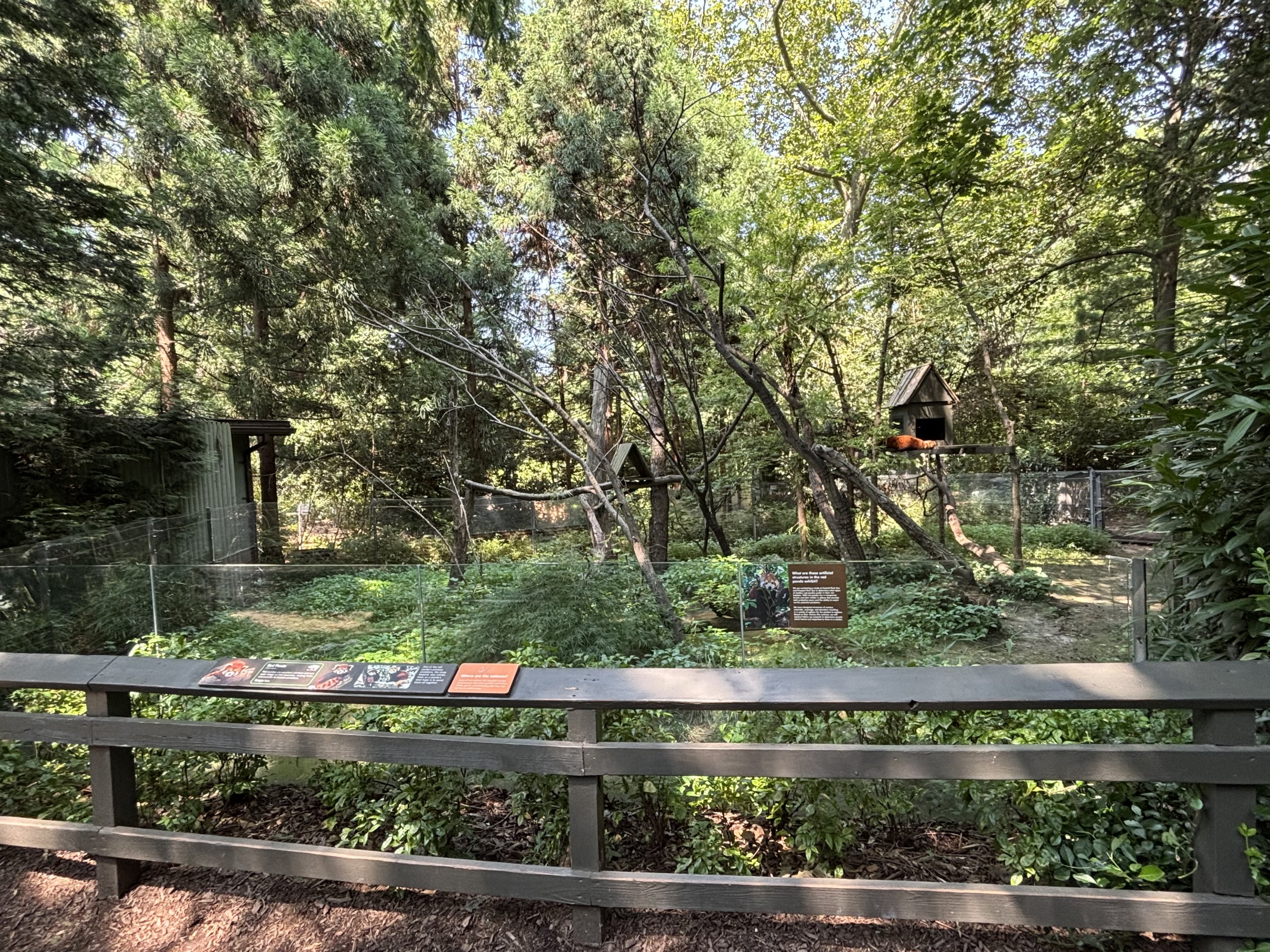 Red Panda Exhibit