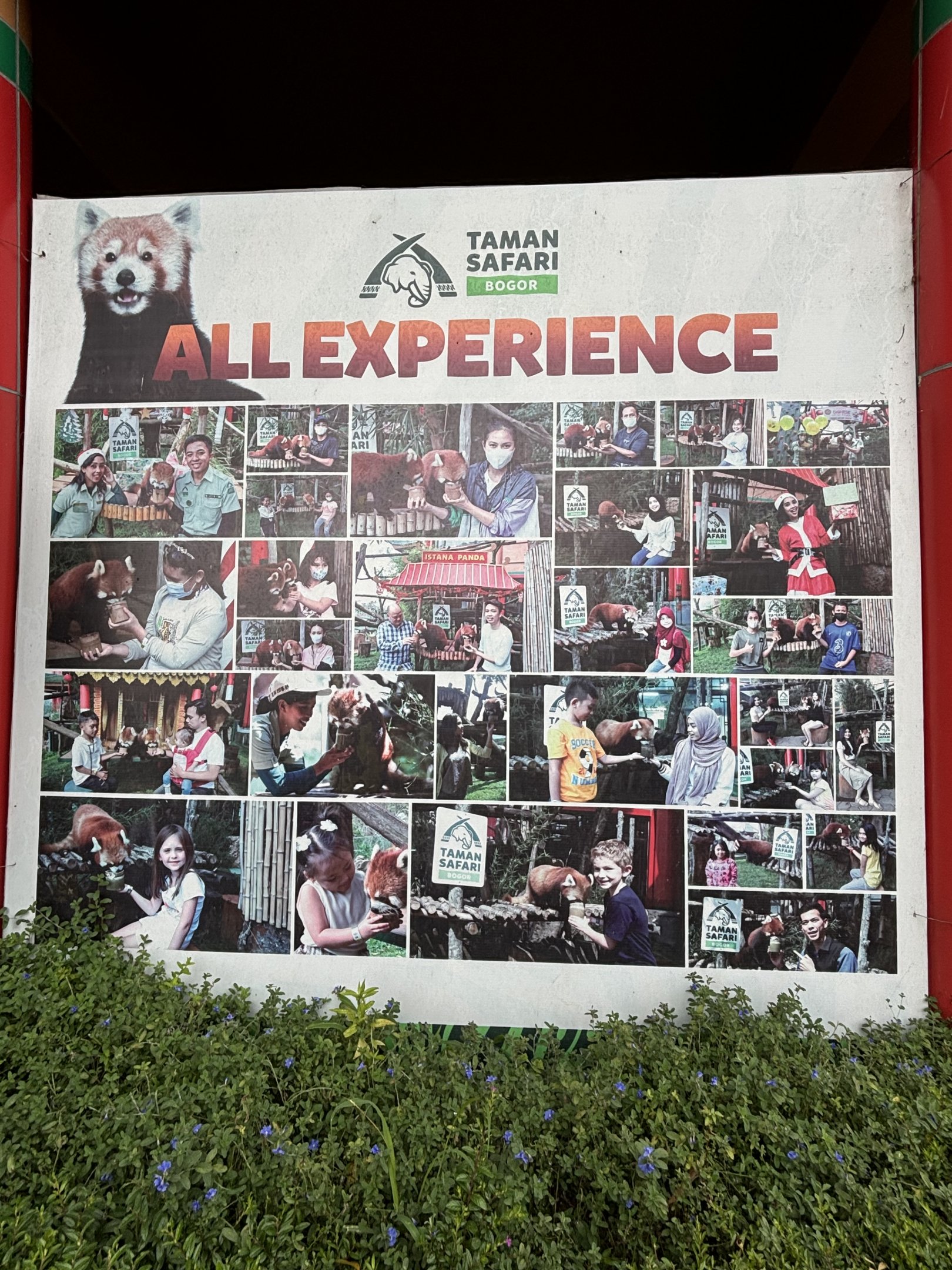 Red Panda Experience - Giant Panda Complex