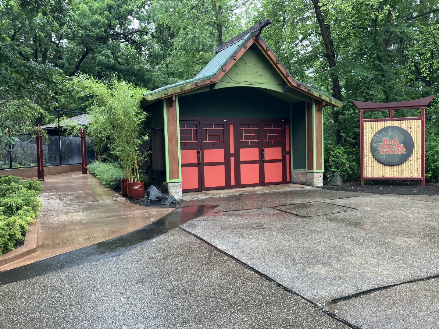 Red Panda Forest - Overview