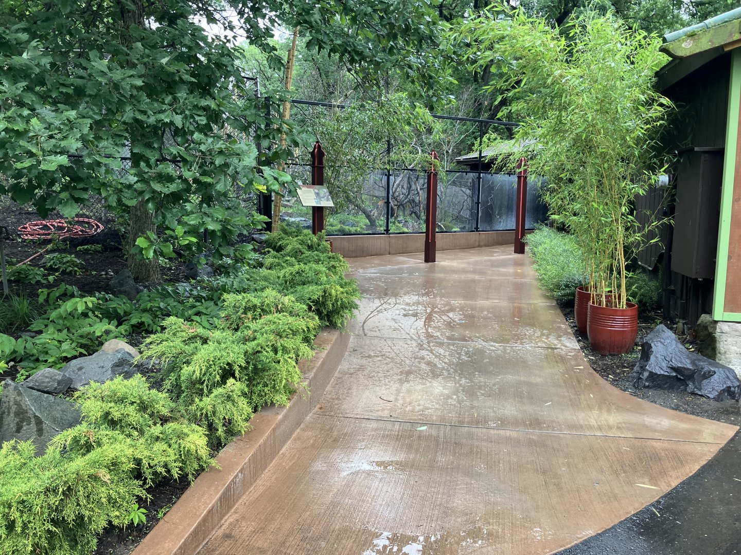 Red Panda Forest - Red Panda Viewing Area