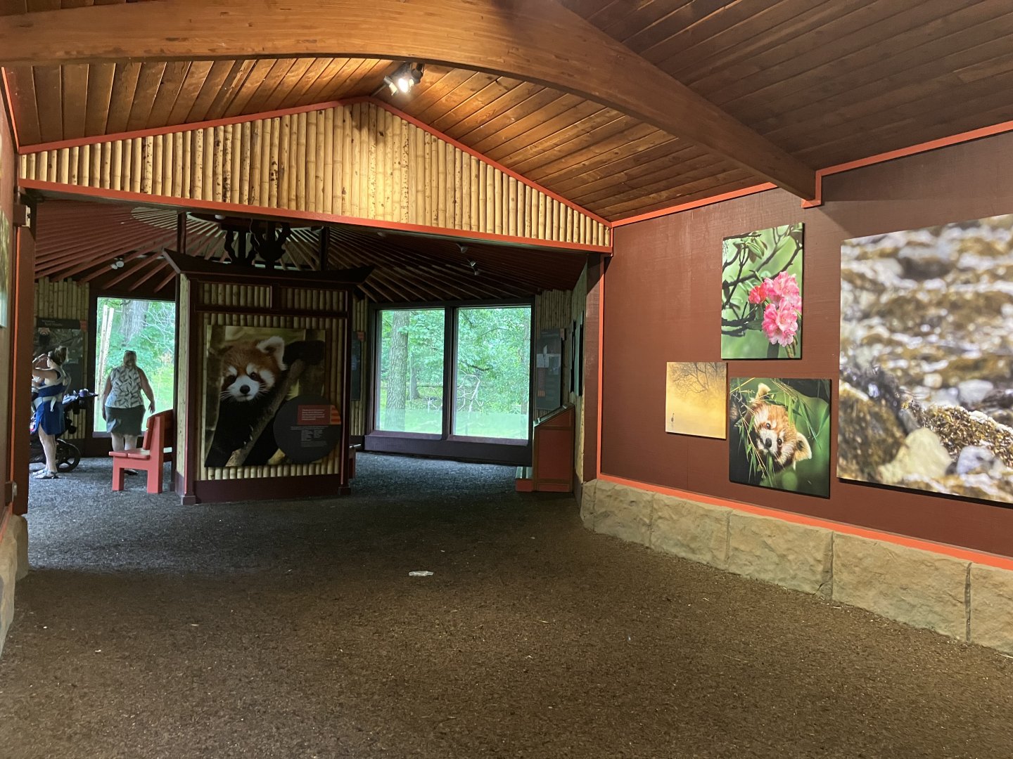 Red Panda Forest- Shelter Interior