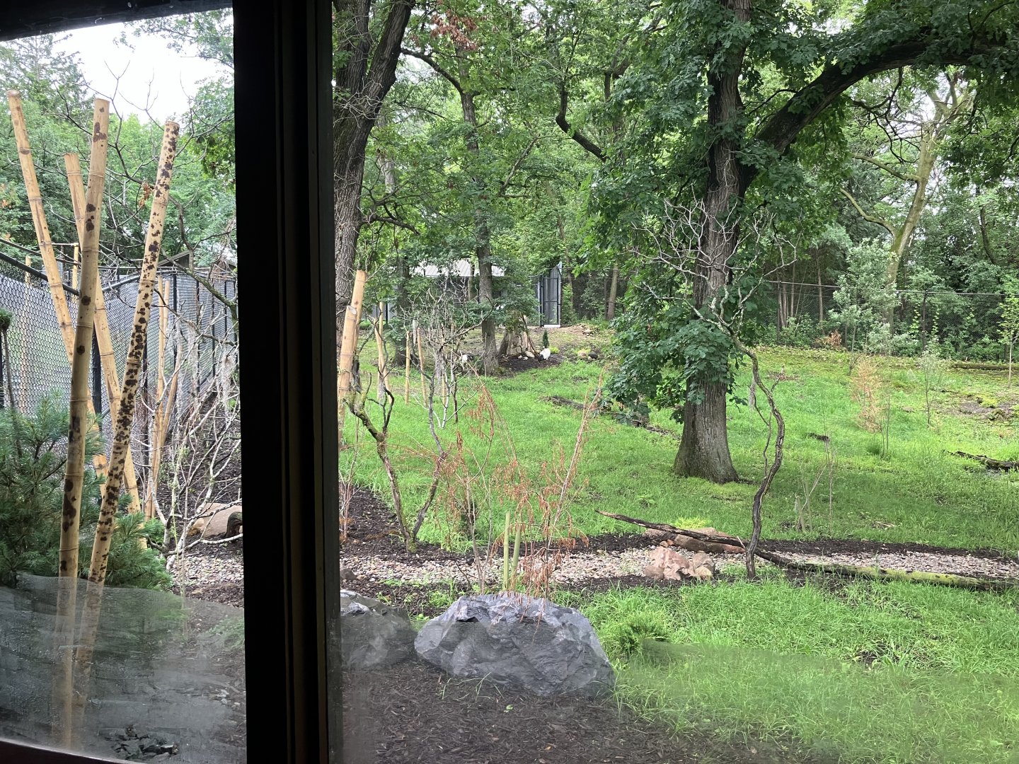Red Panda Forest - Tufted Deer/Red-Crowned Crane Exhibit