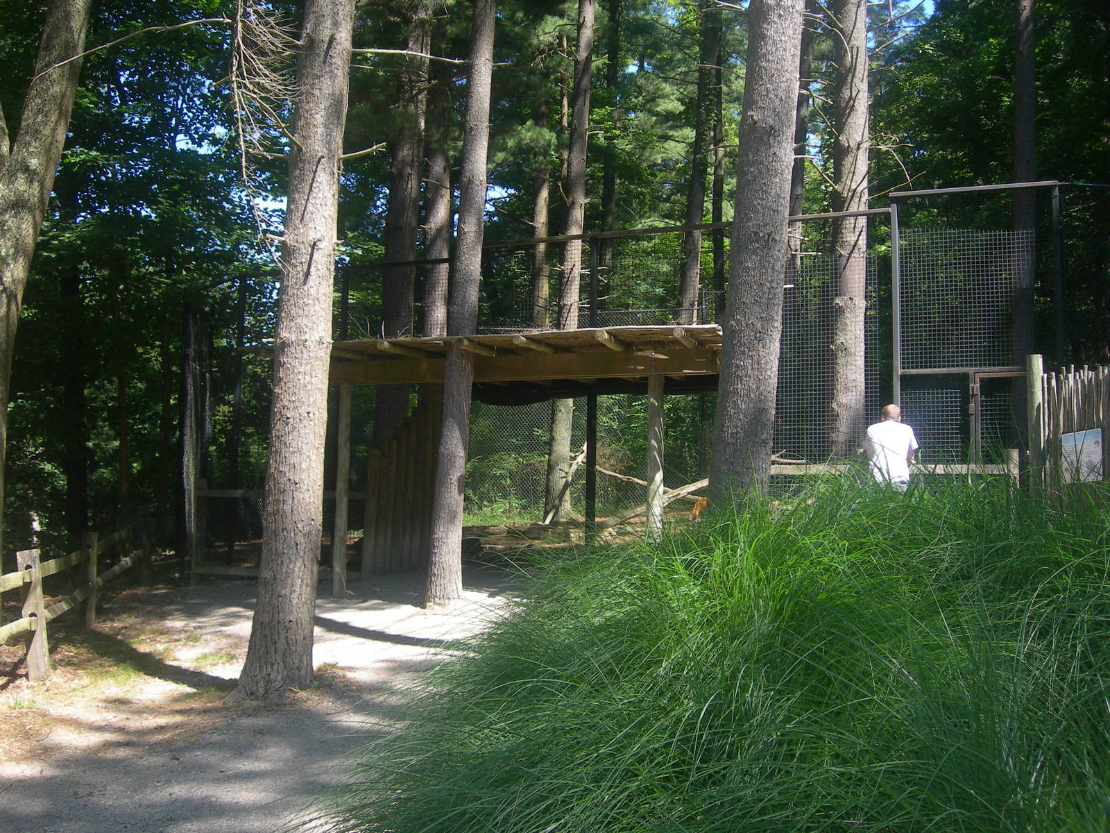 Red Panda/Goral Exhibit