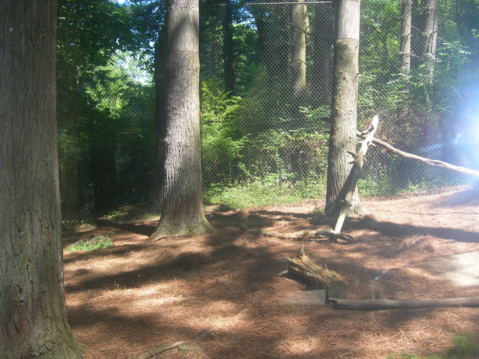 Red Panda/Goral Exhibit