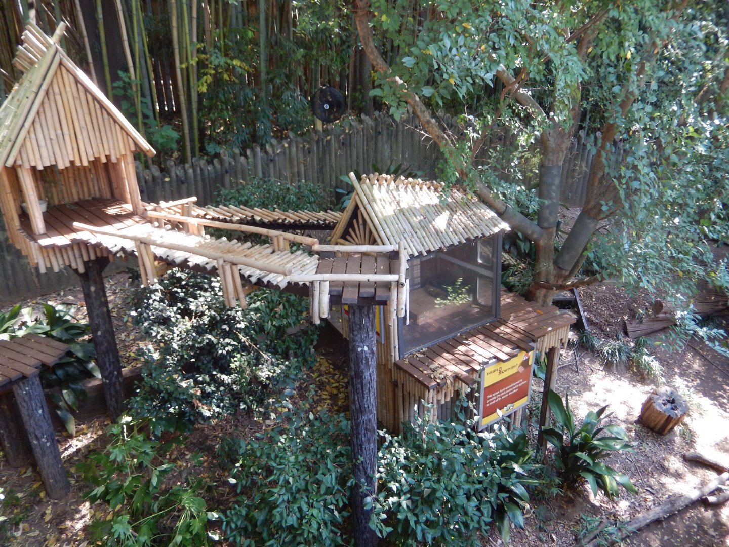 Red Panda Habitat