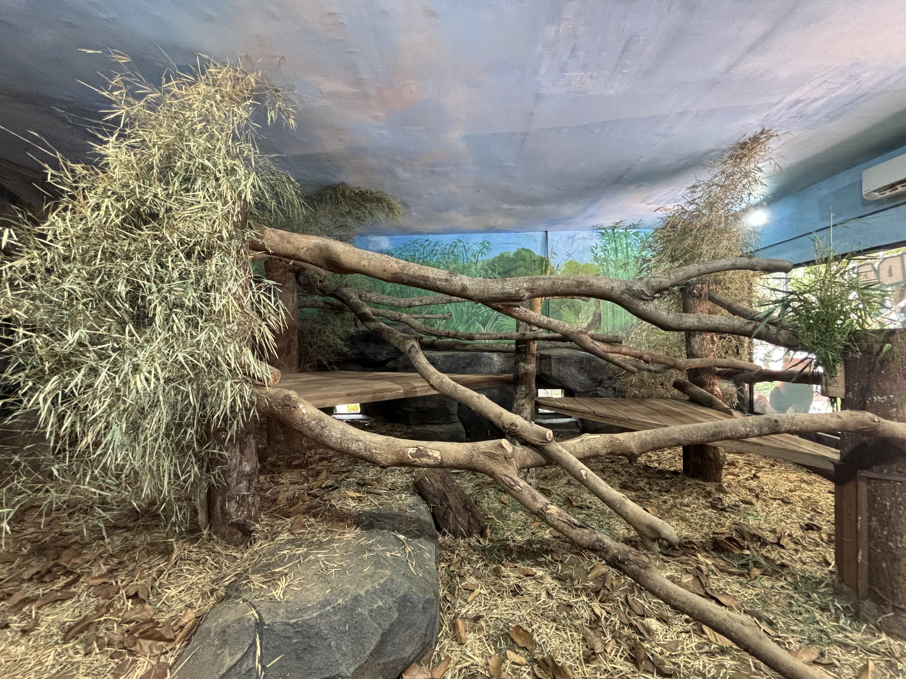 Red Panda Indoor Exhibit (New in 2024)