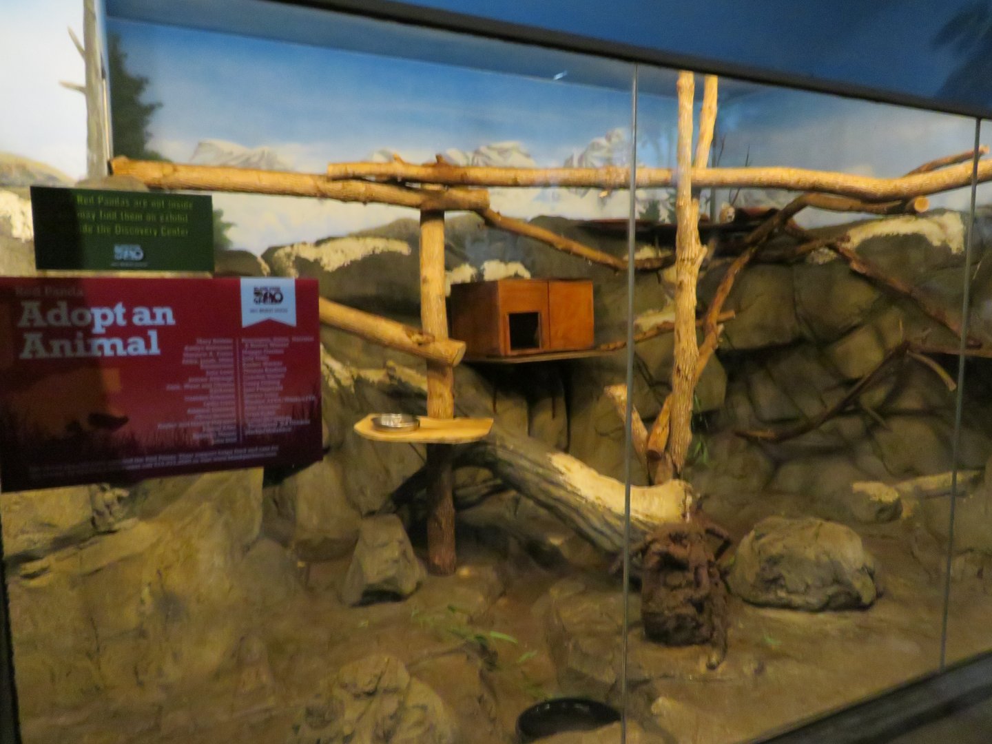 Red Panda Indoor Exhibit