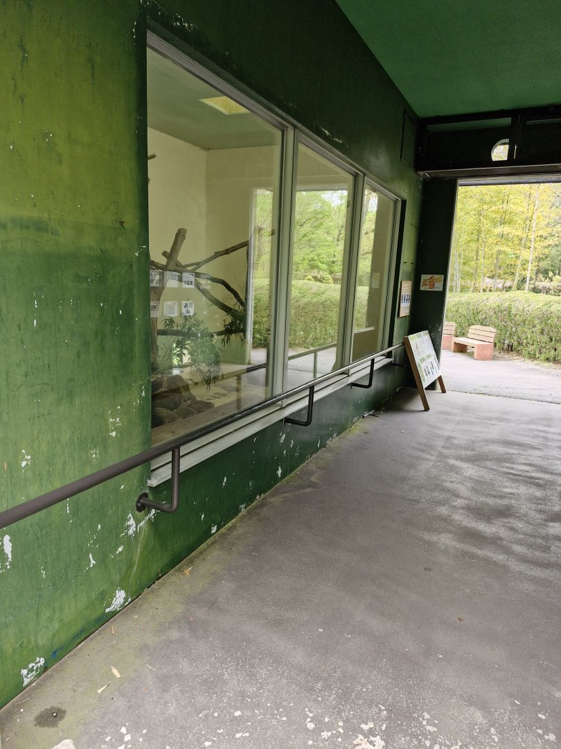 Red panda indoor viewing area