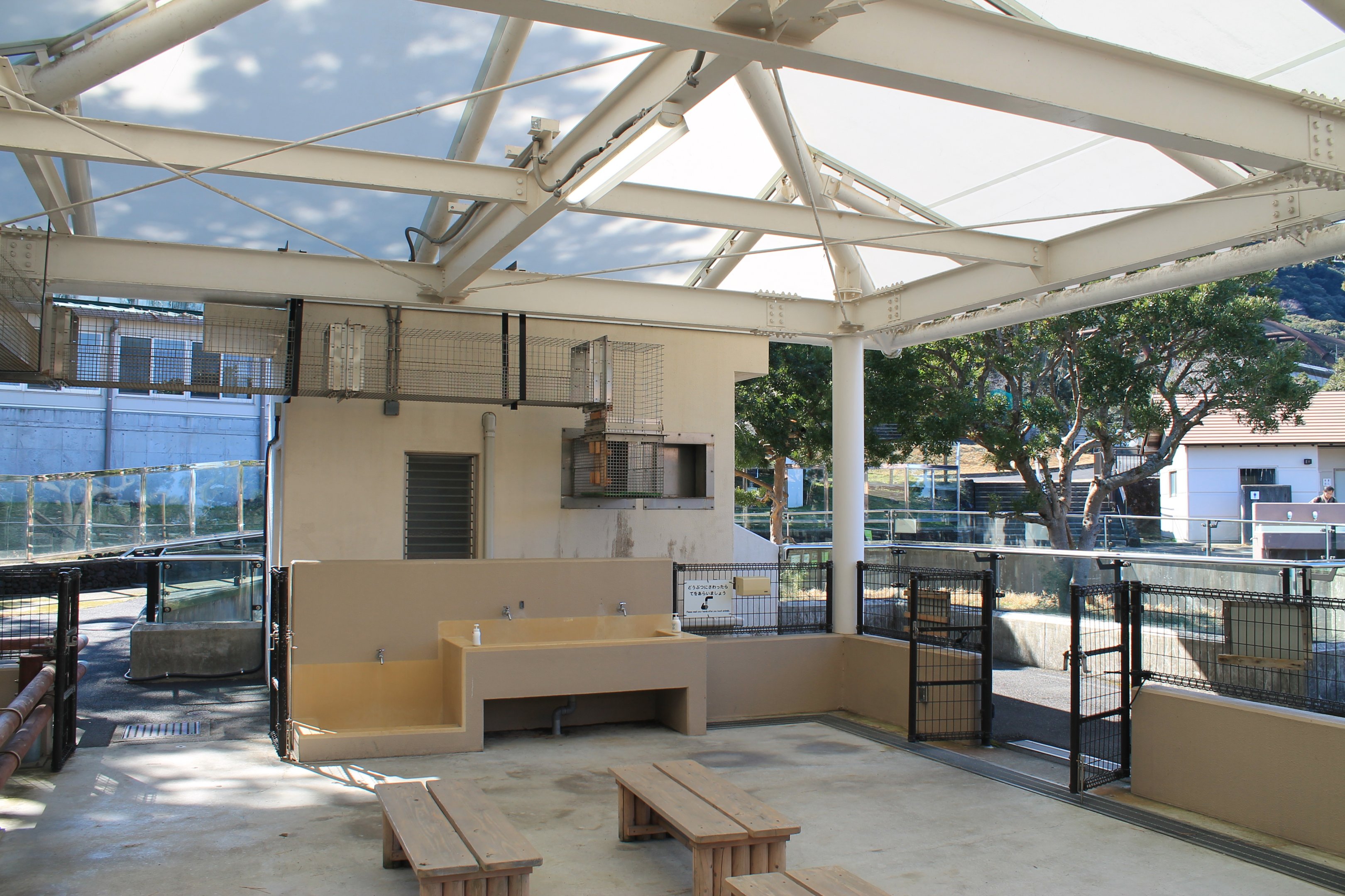 Red Panda indoors - Oshima Park Zoo