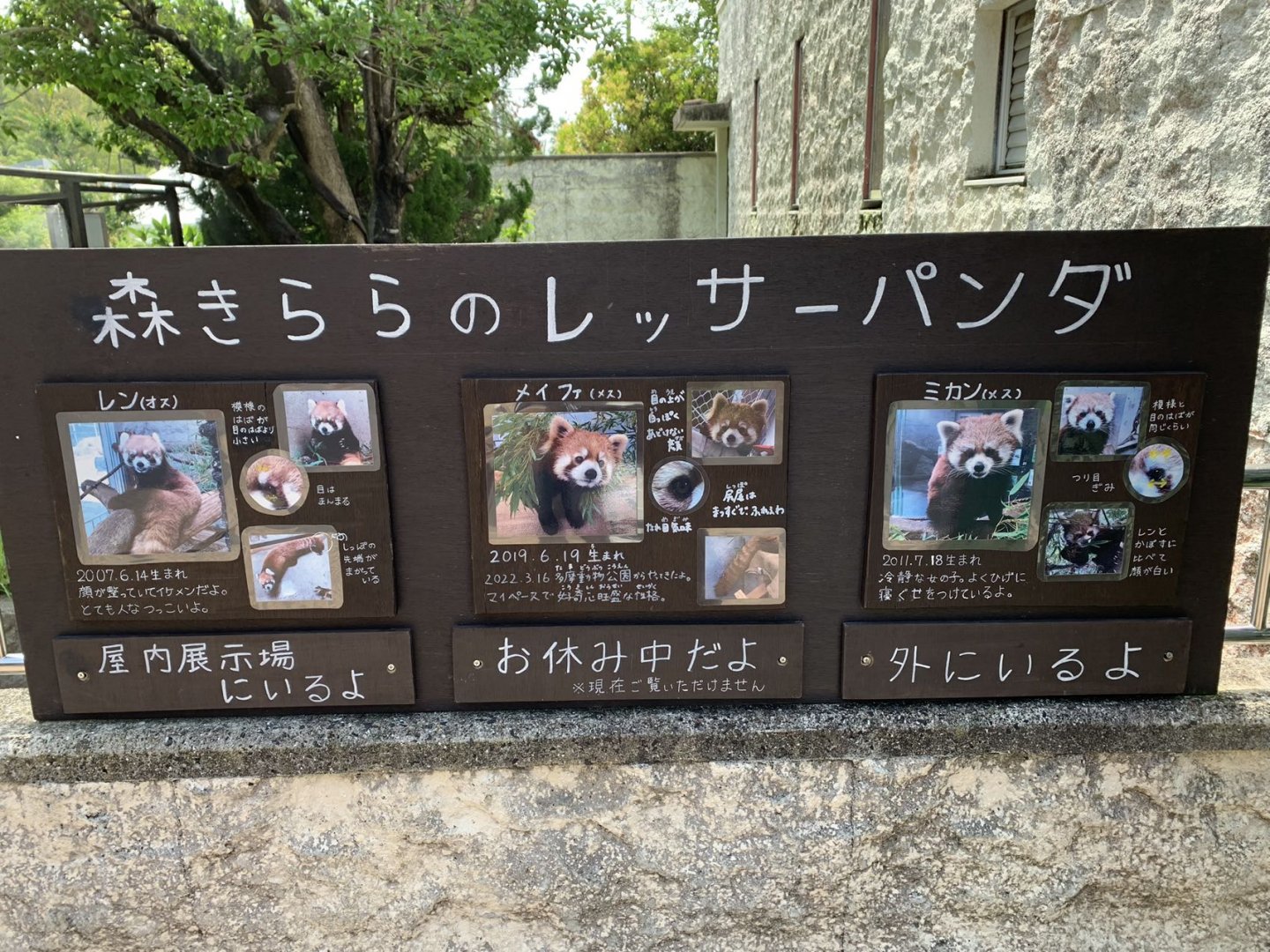 Red panda Introduction board