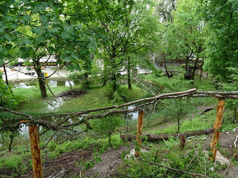 Red panda / muntjac enclosure