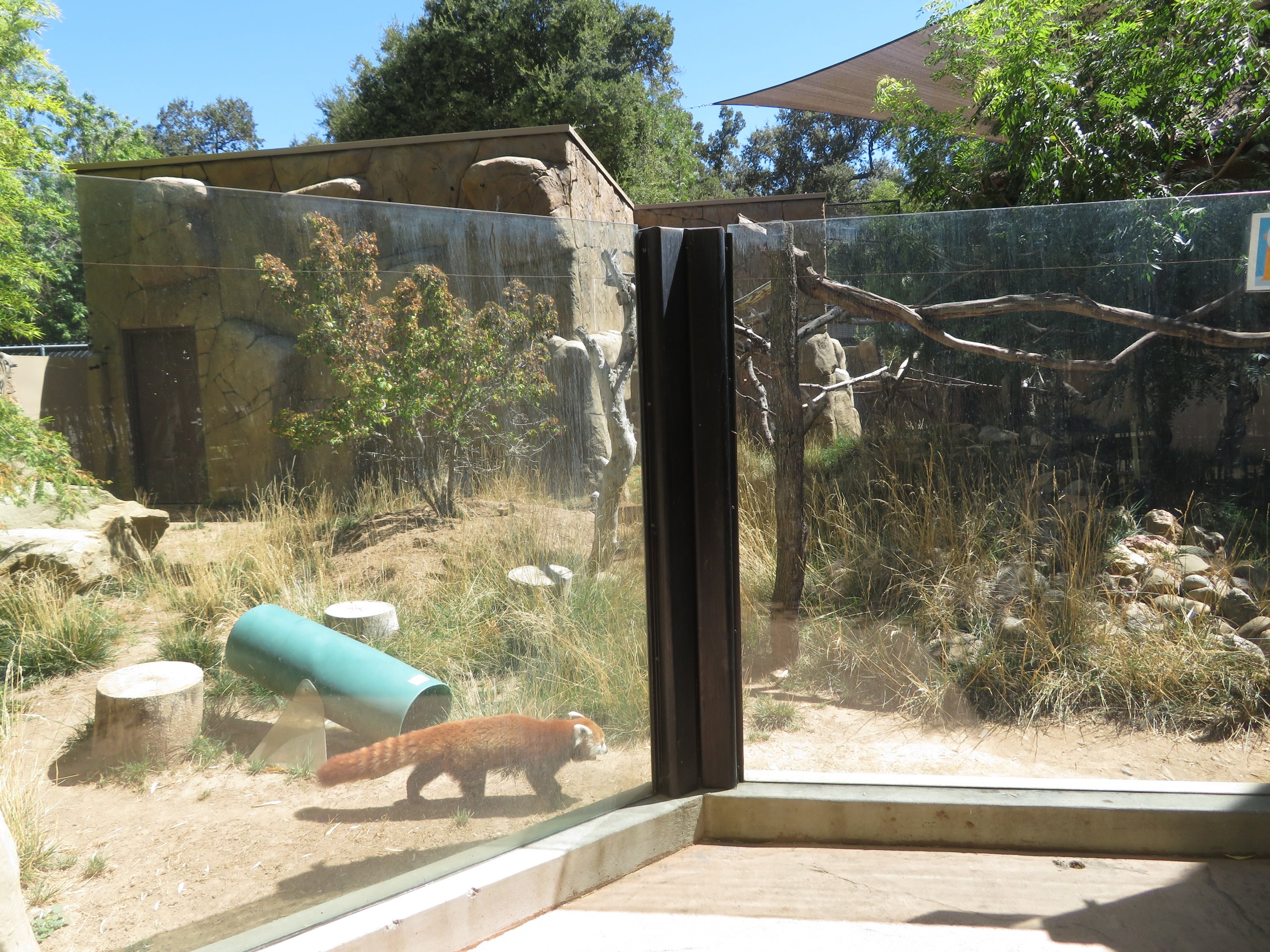 Red Panda/Muntjac Exhibit