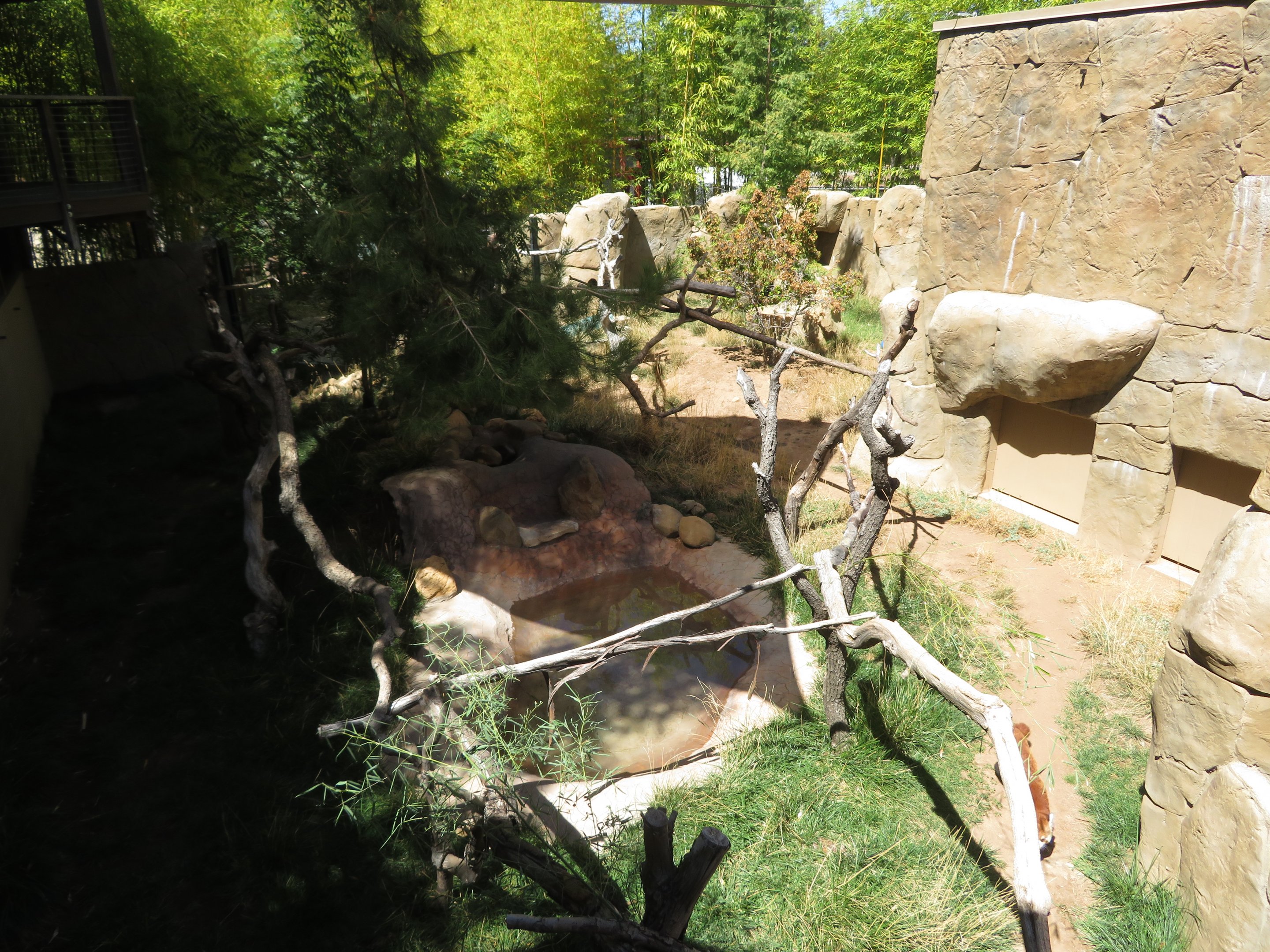 Red Panda/Muntjac Exhibit