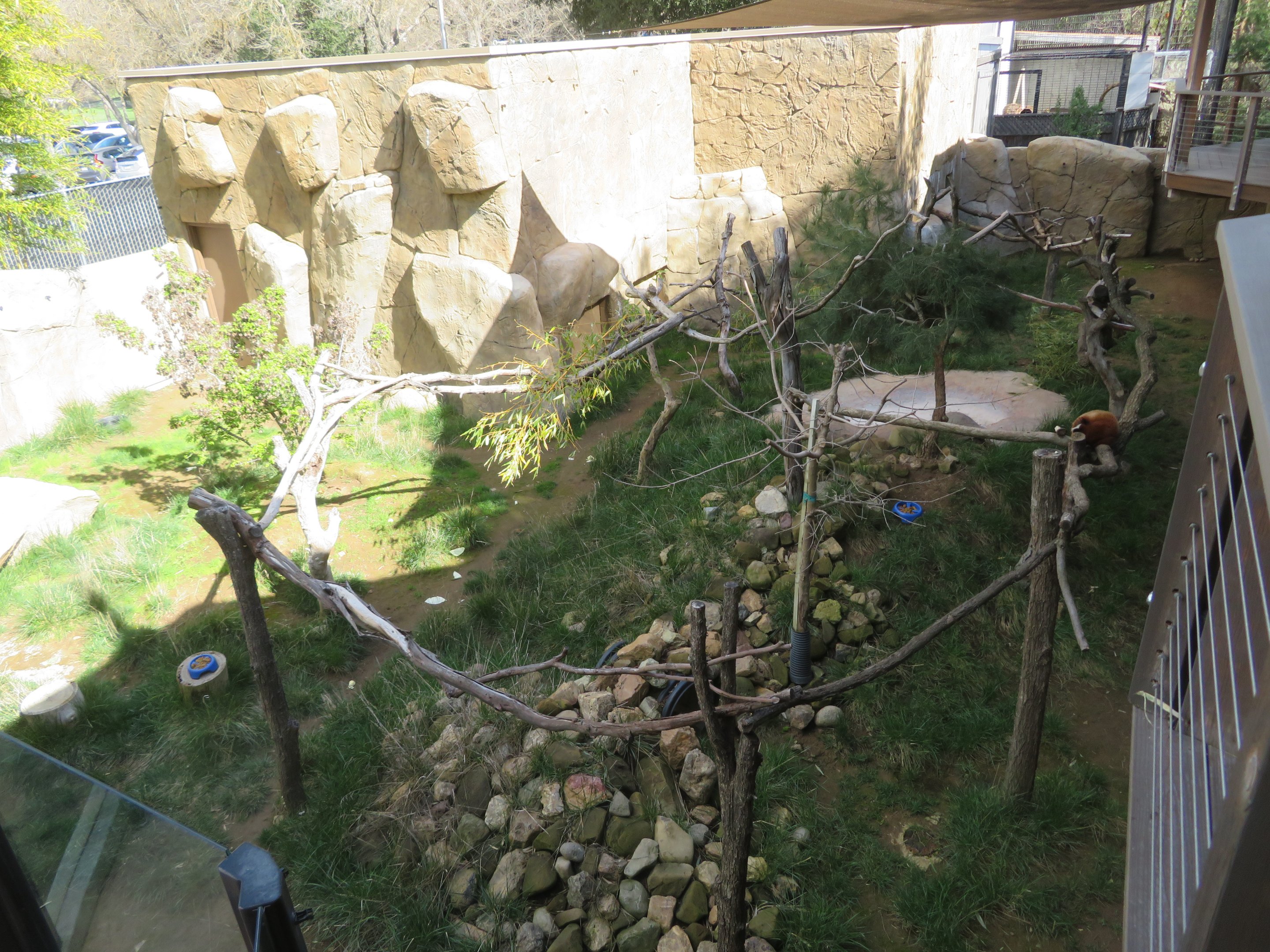 Red Panda/Muntjac Exhibit