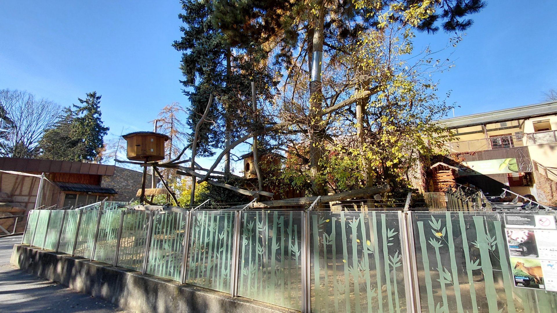 Red panda + muntjac exhibit