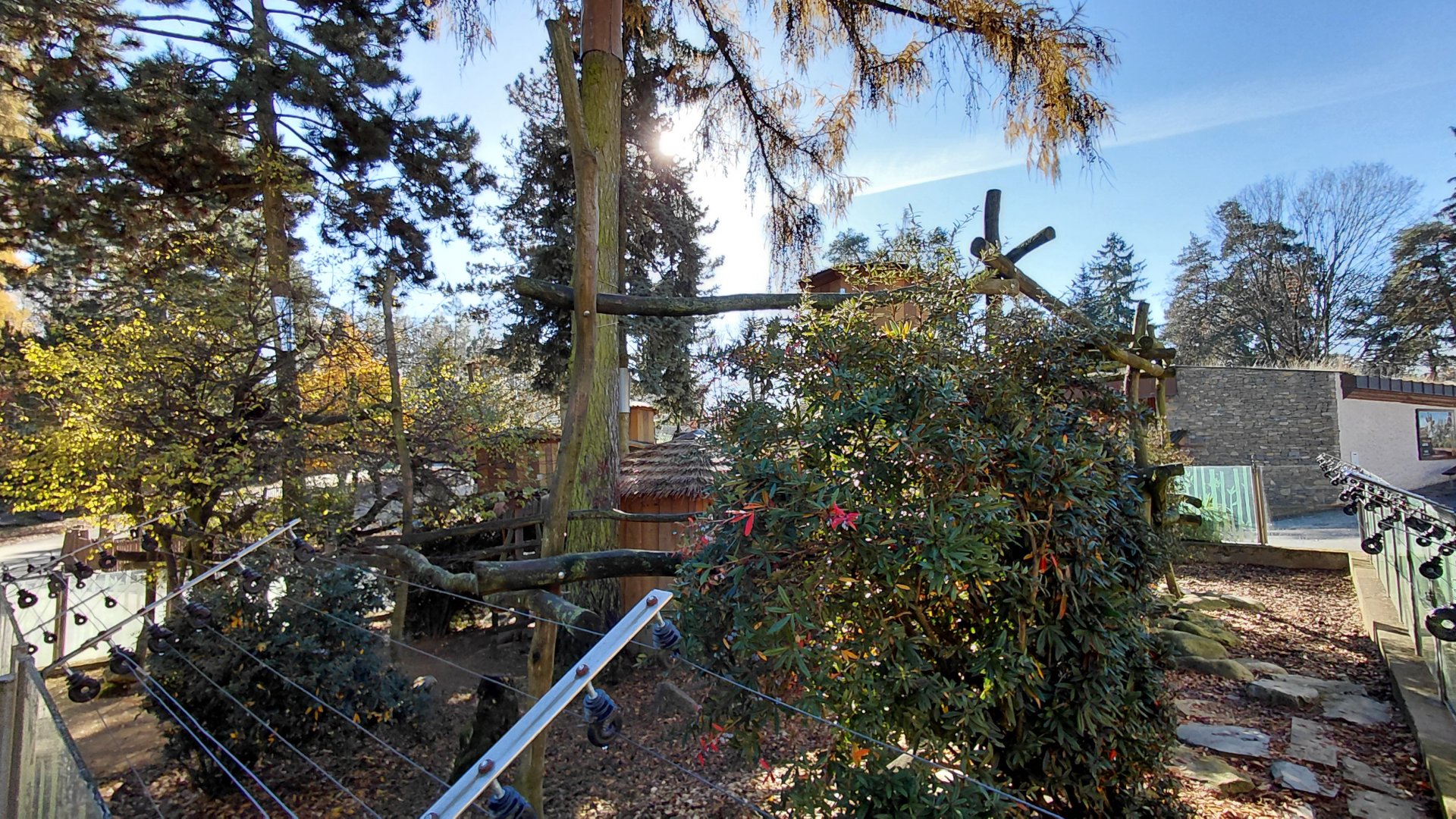 Red panda + muntjac exhibit