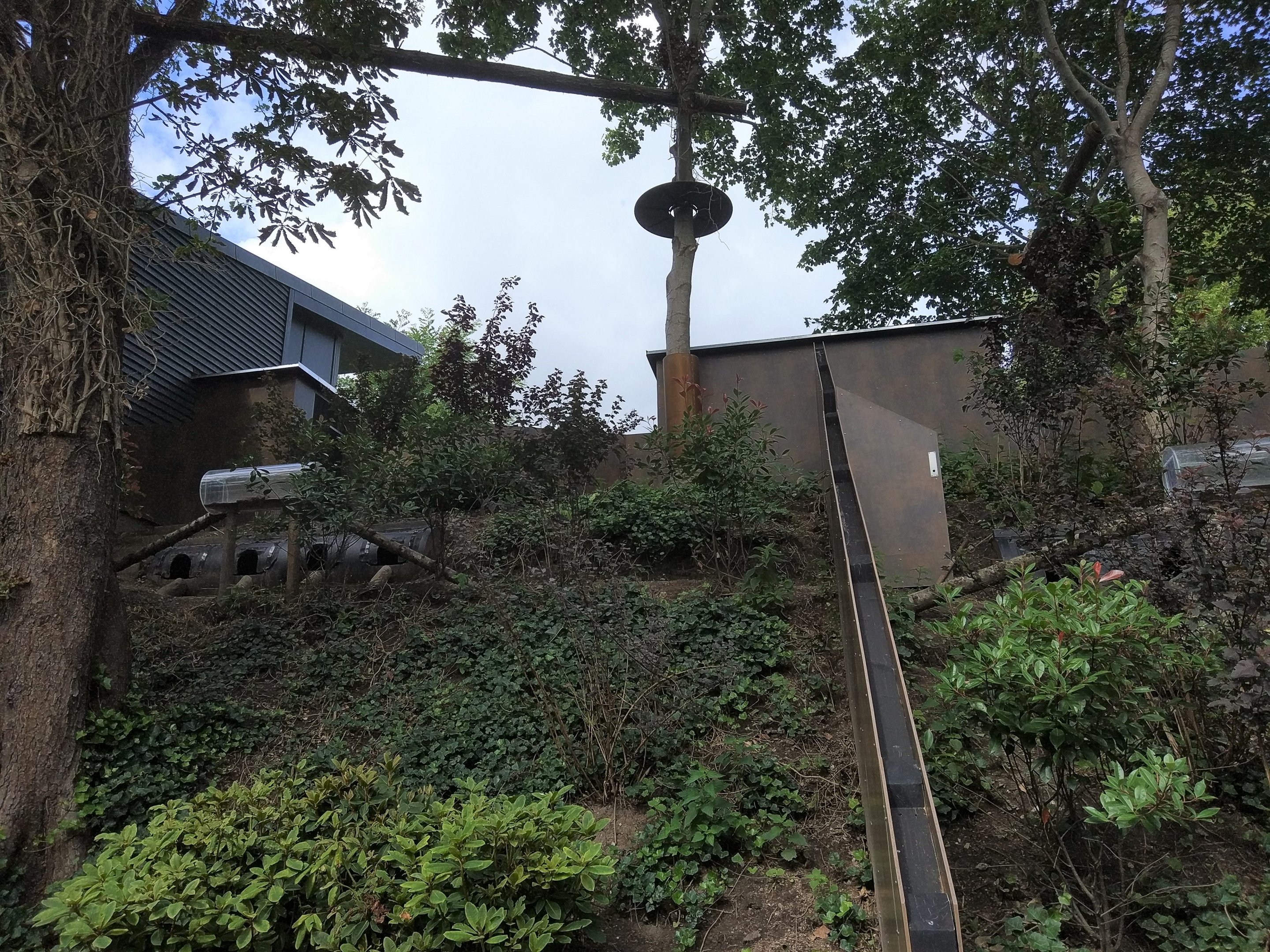 Red Panda & Muntjac Exhibits