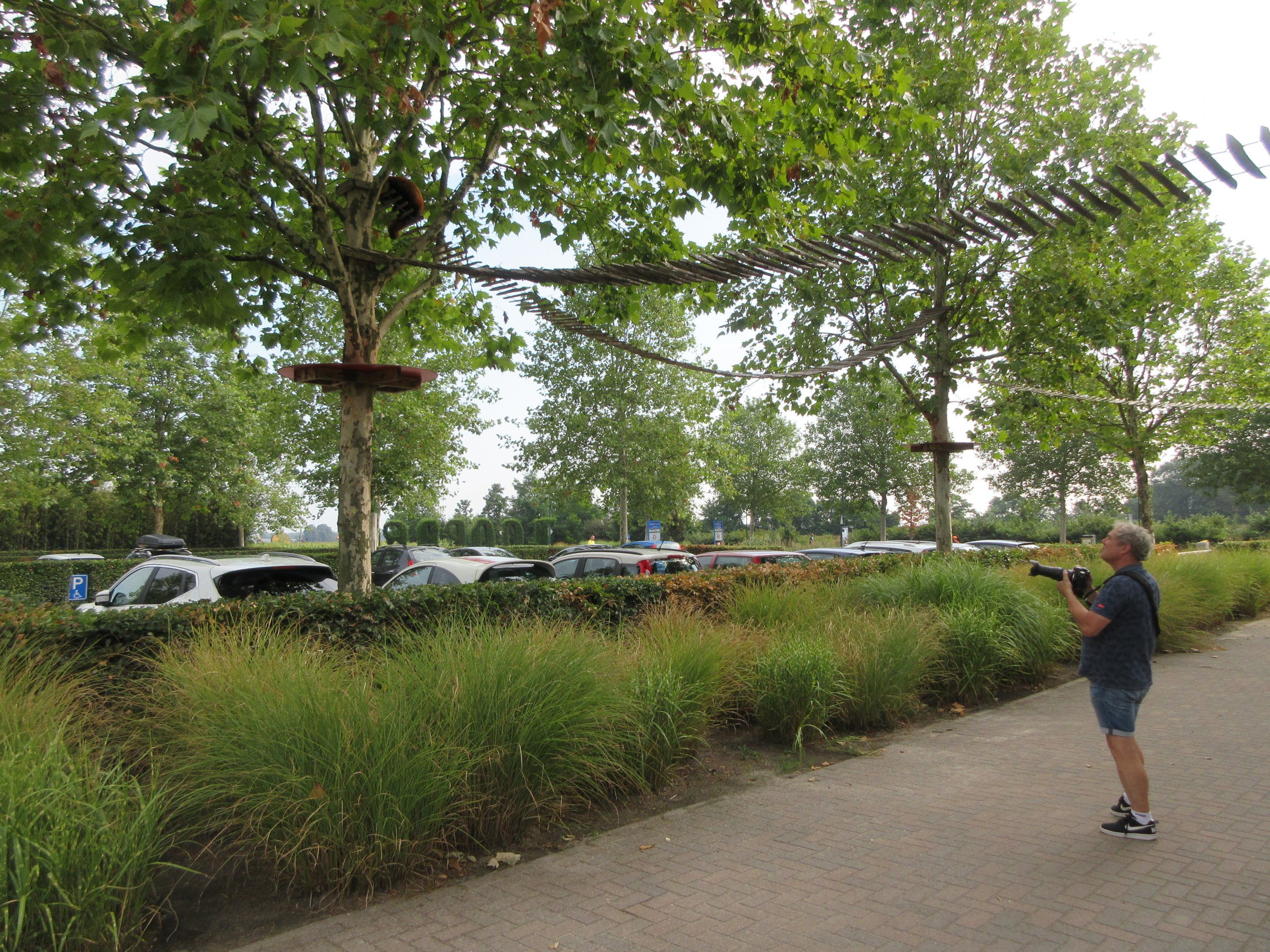 Red Panda (near parking lot!)