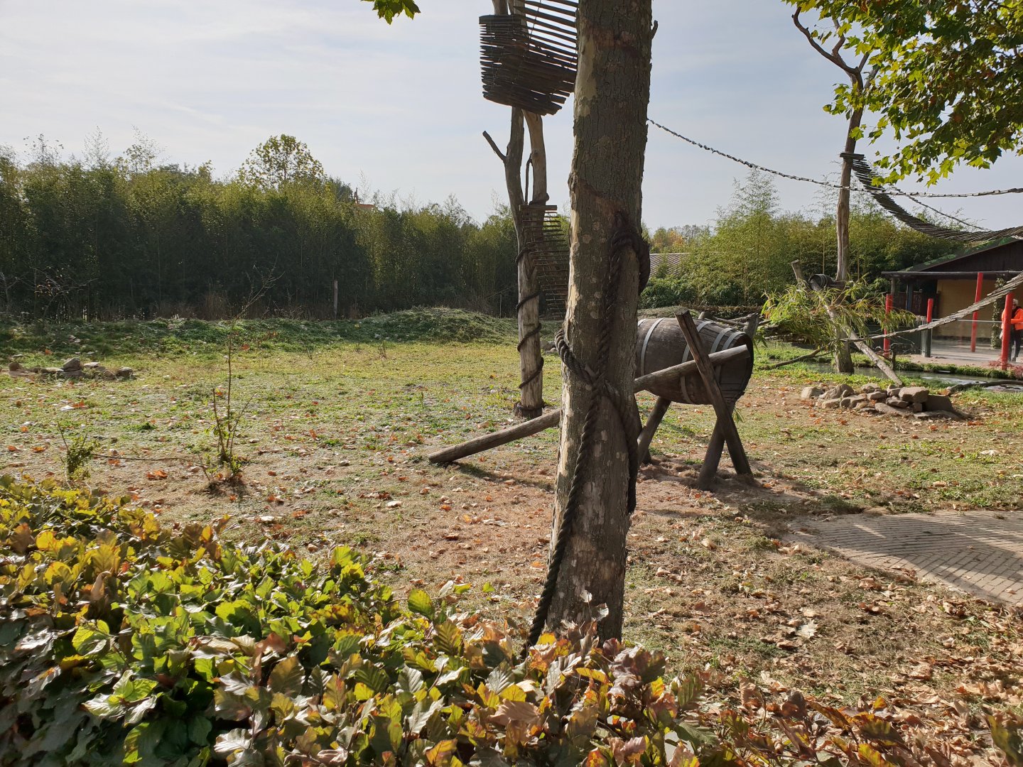 Red panda - Otter enclosure