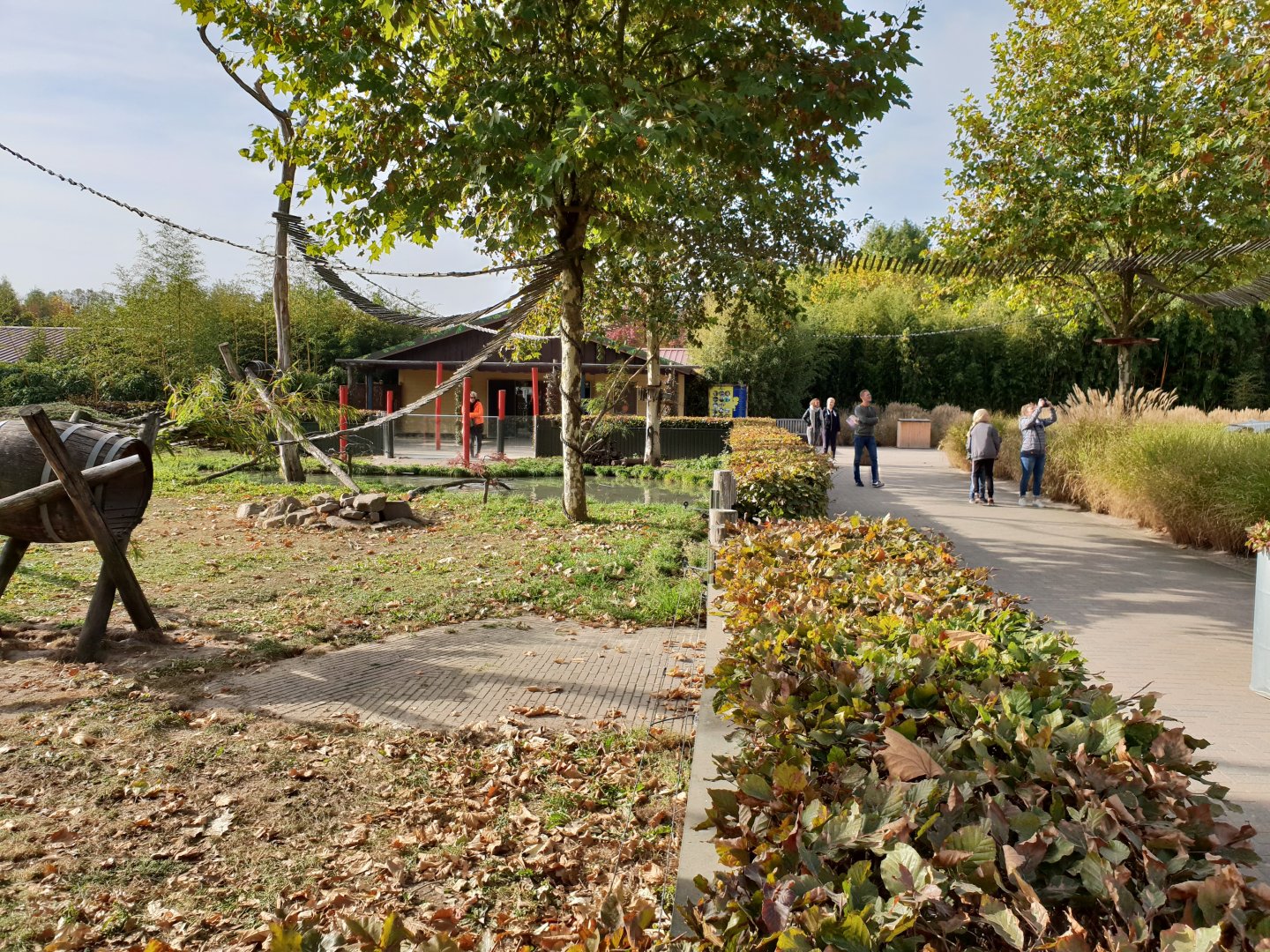 Red panda - Otter enclosure