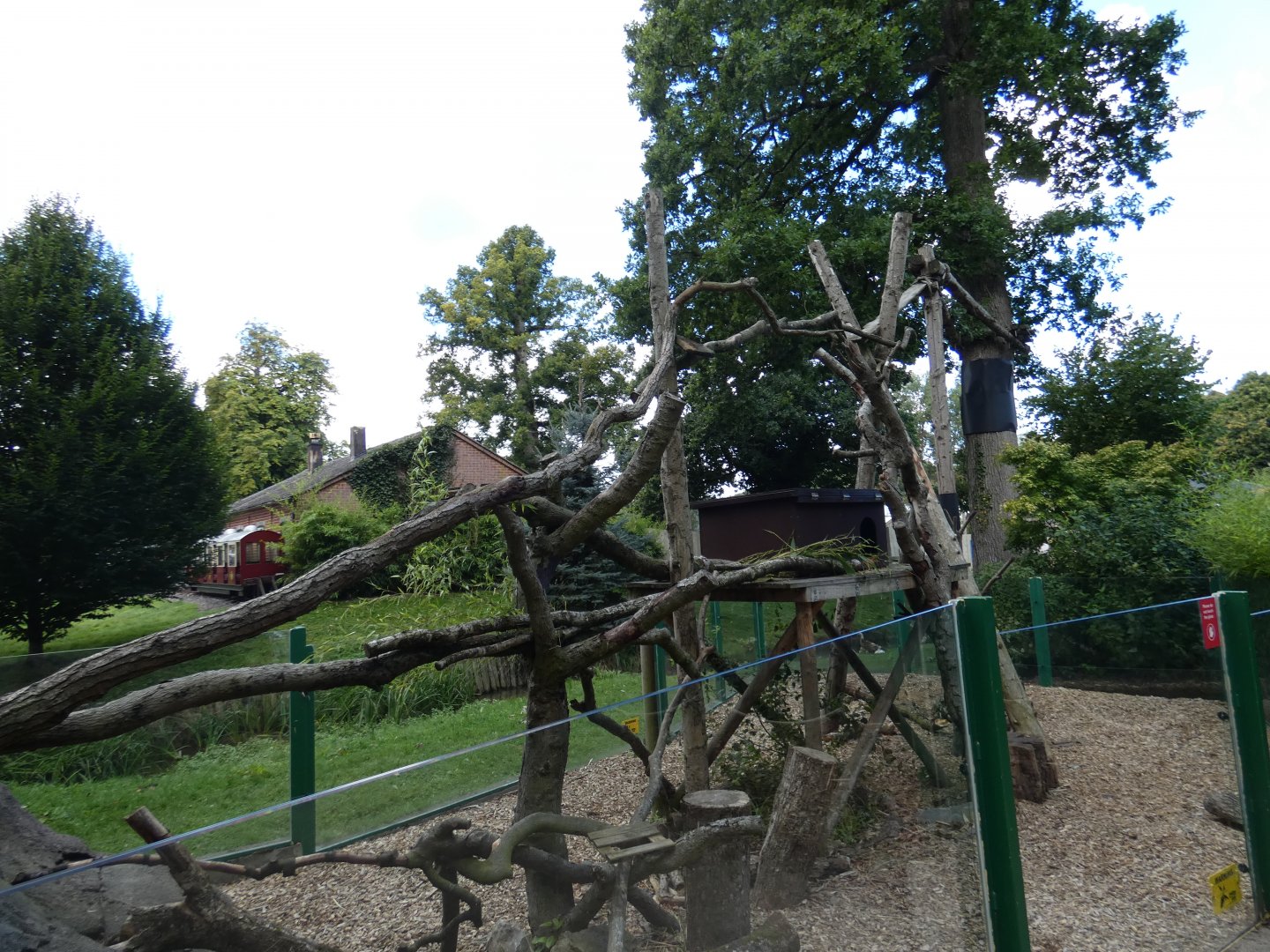 Red Panda outdoor enclosure