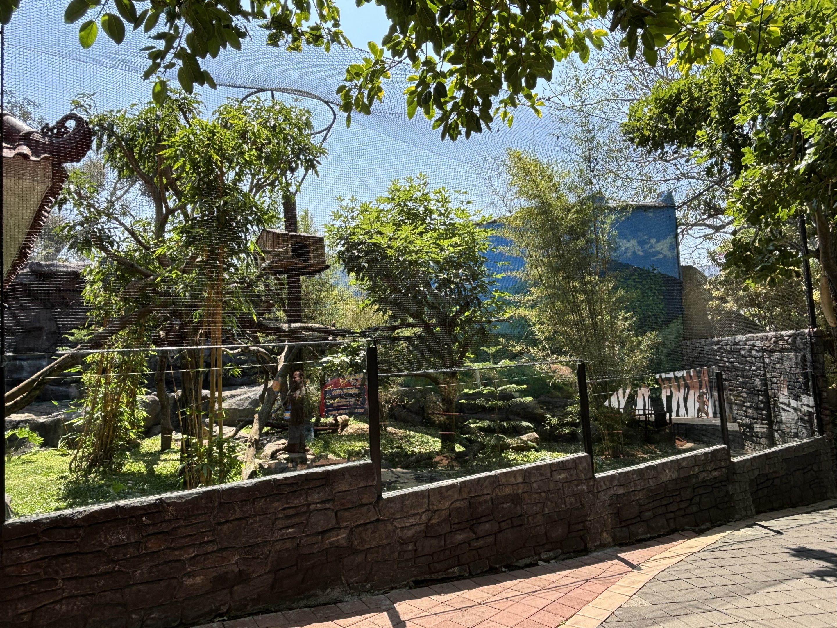 Red Panda Outdoor Exhibit (New in 2024)