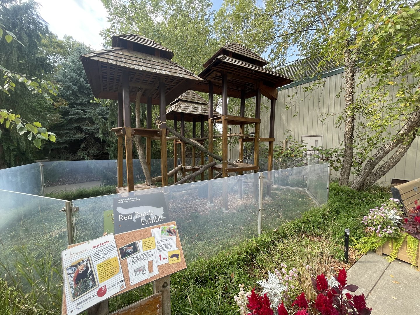 Red Panda Outdoor Exhibit