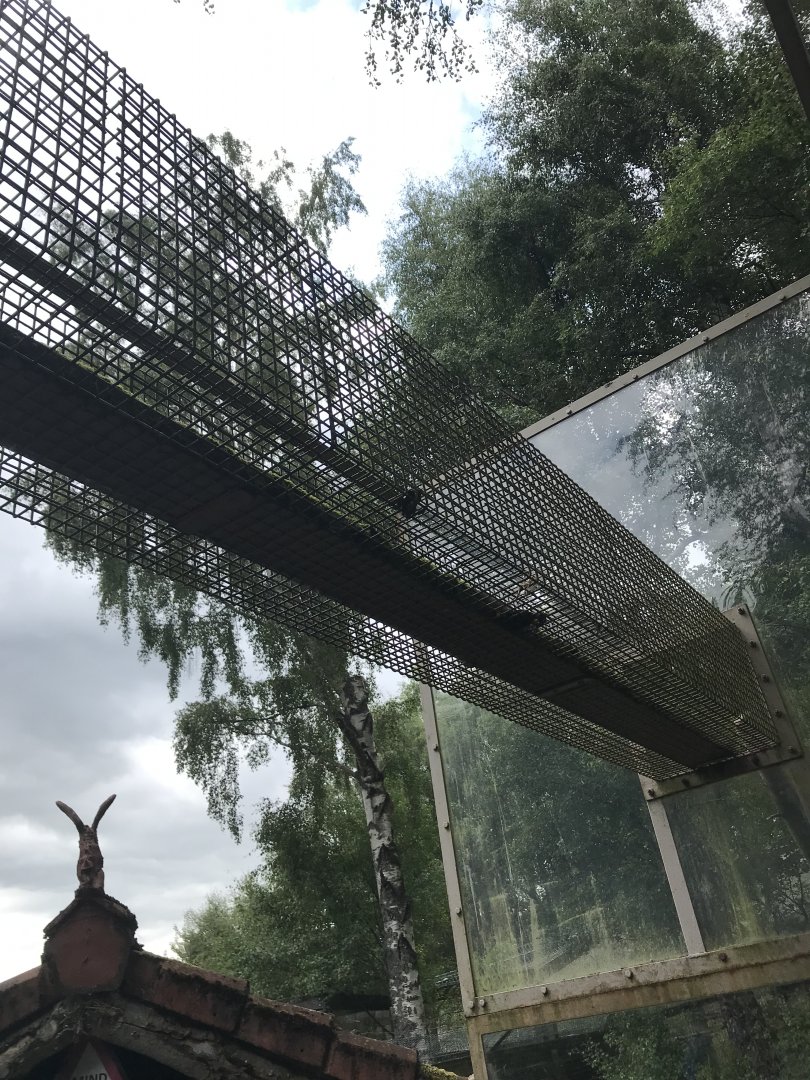 Red panda overhead tunnel