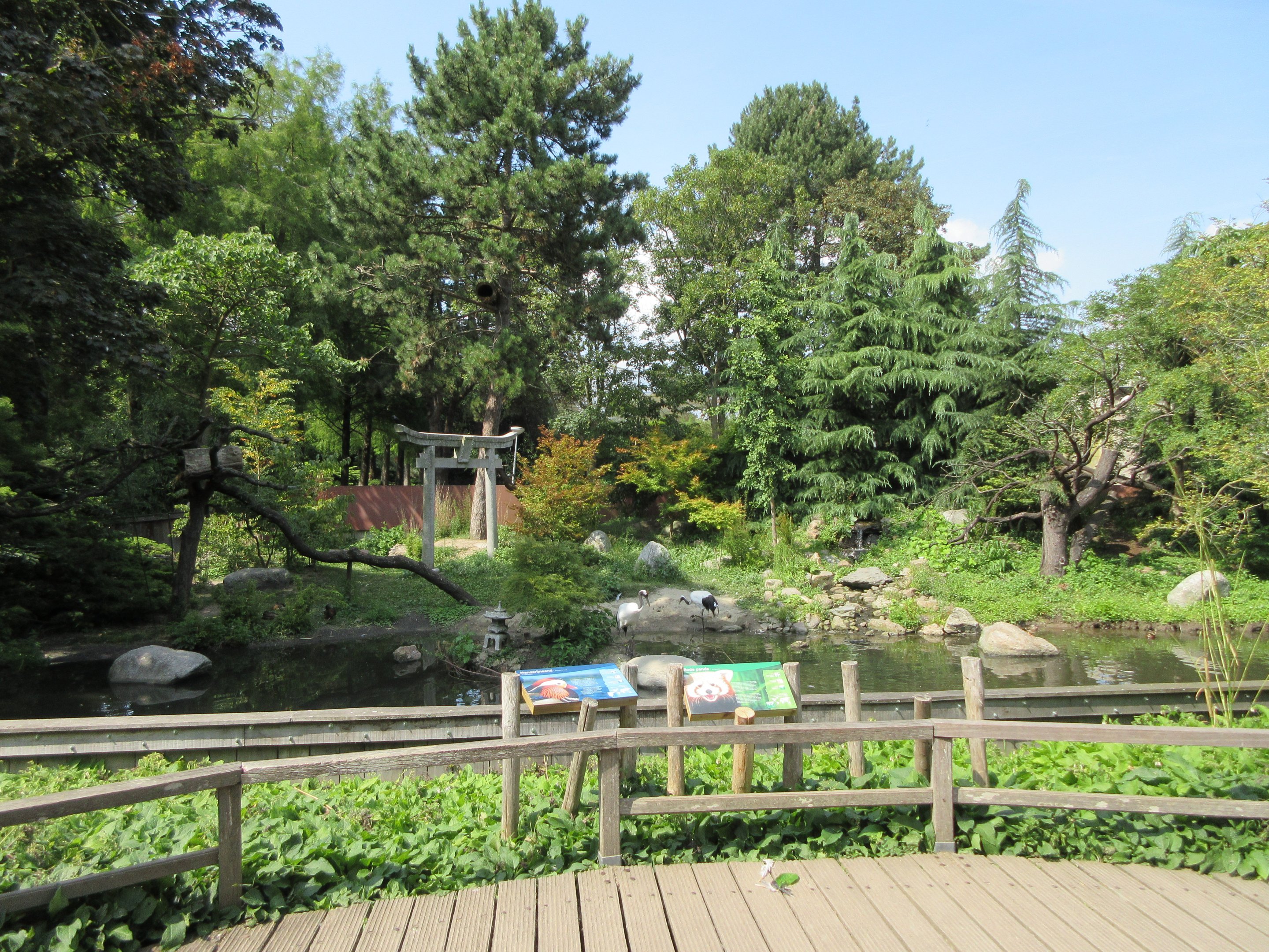 Red Panda/Red-Crowned Crane Exhibit