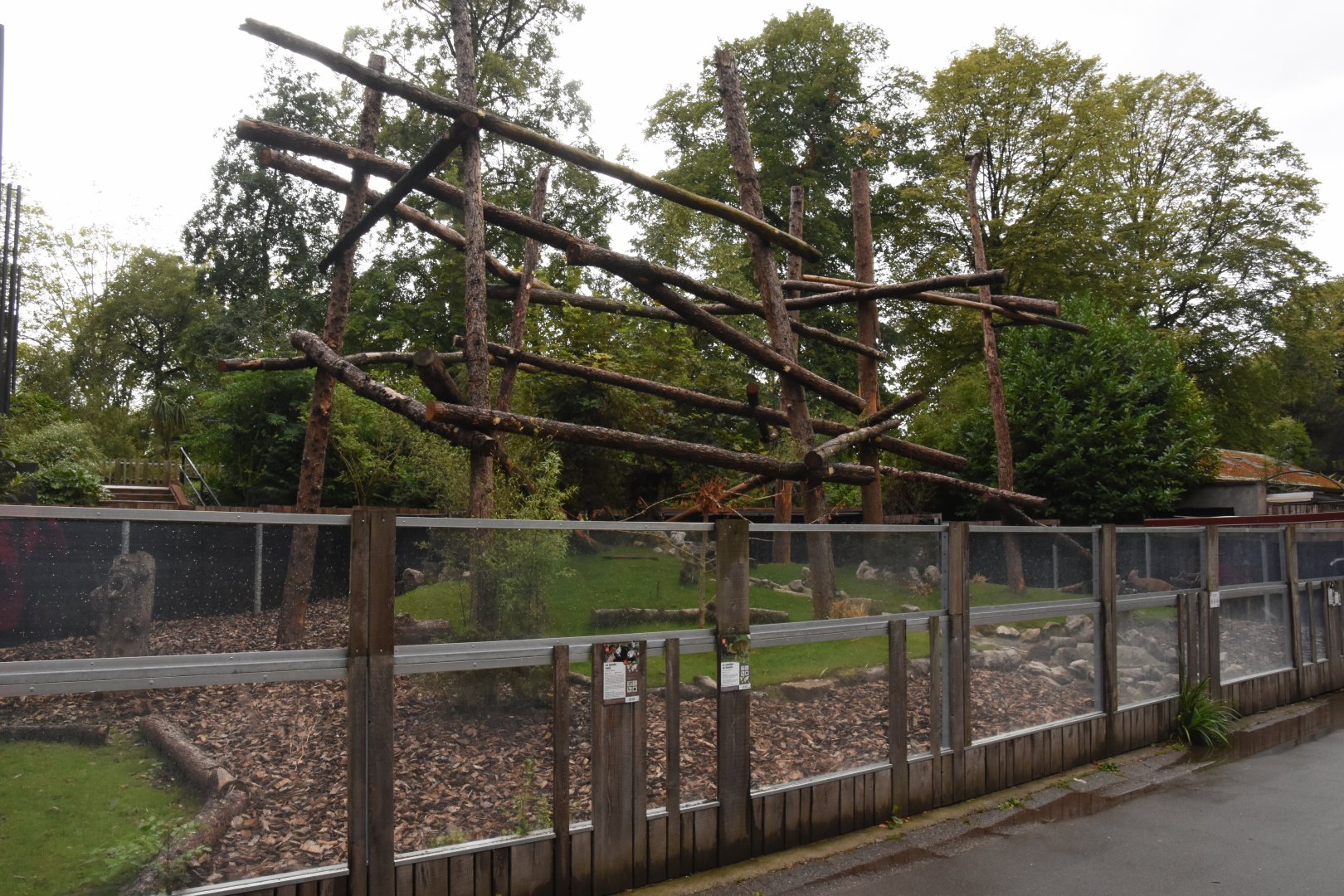 Red Panda & Reeves Muntjac enclosure