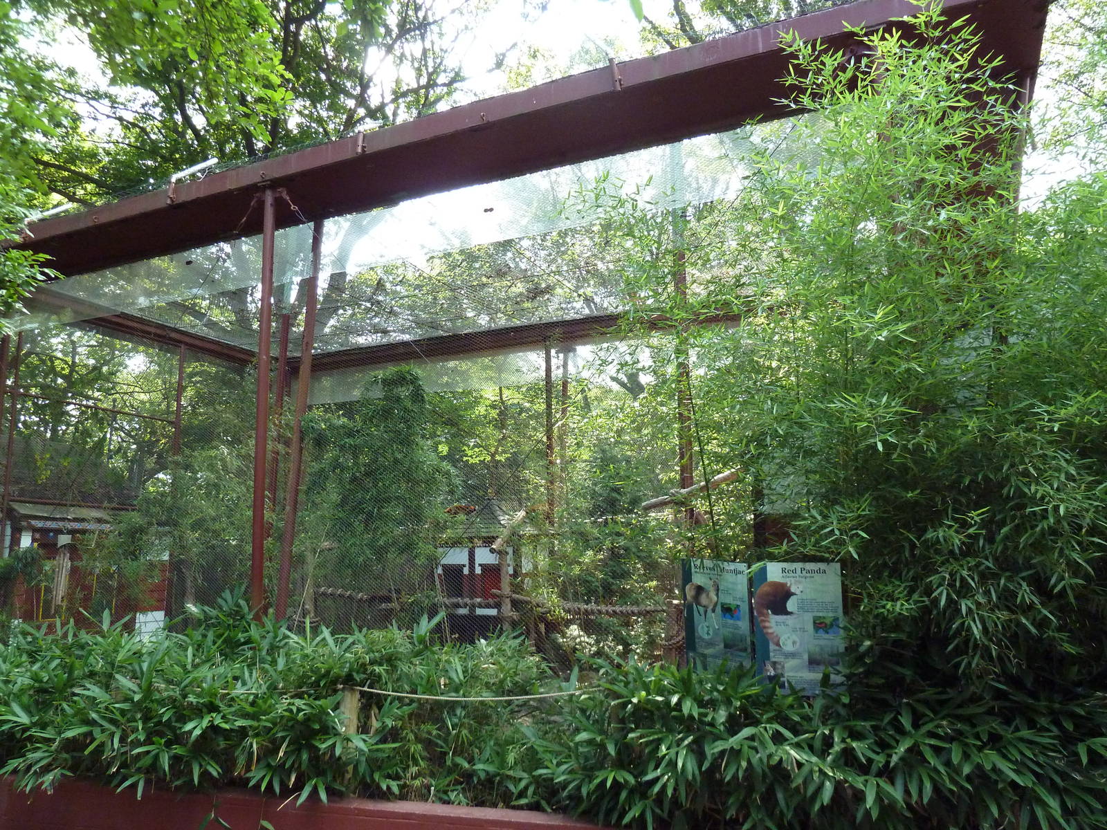 Red Panda/Reeves' Muntjac Exhibit