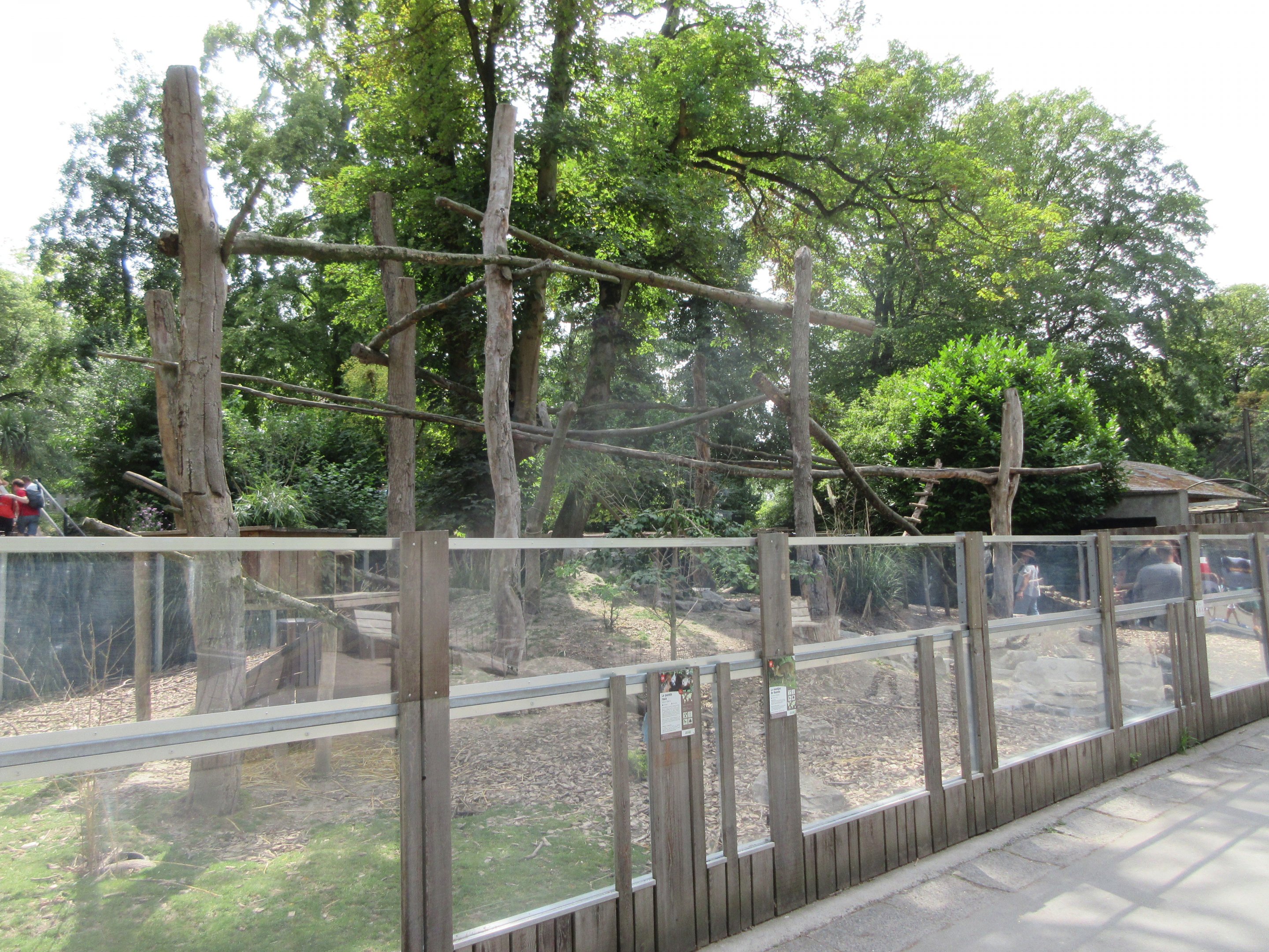 Red Panda/Reeves Muntjac Exhibit