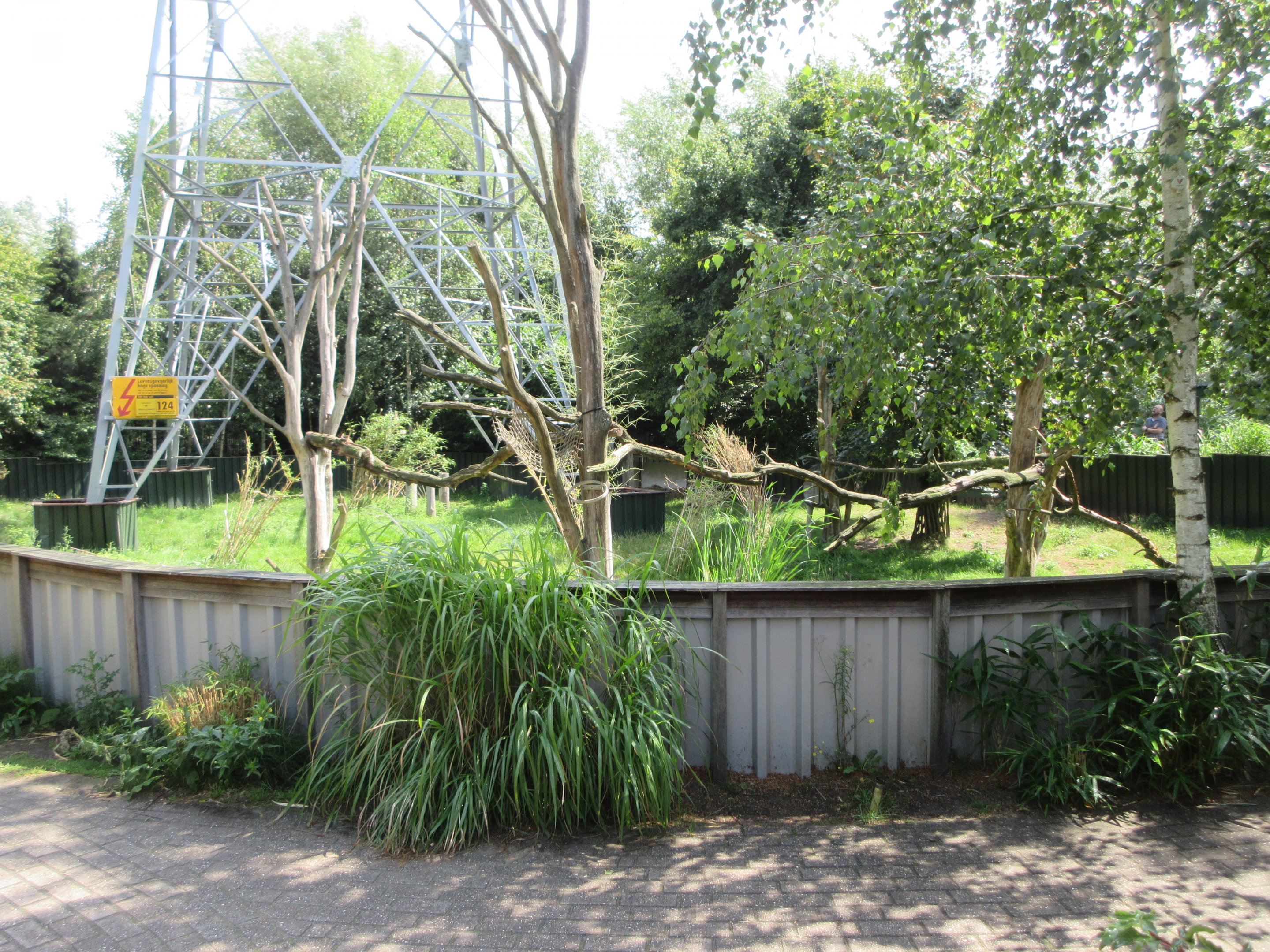 Red Panda/Reeves' Muntjac Exhibit