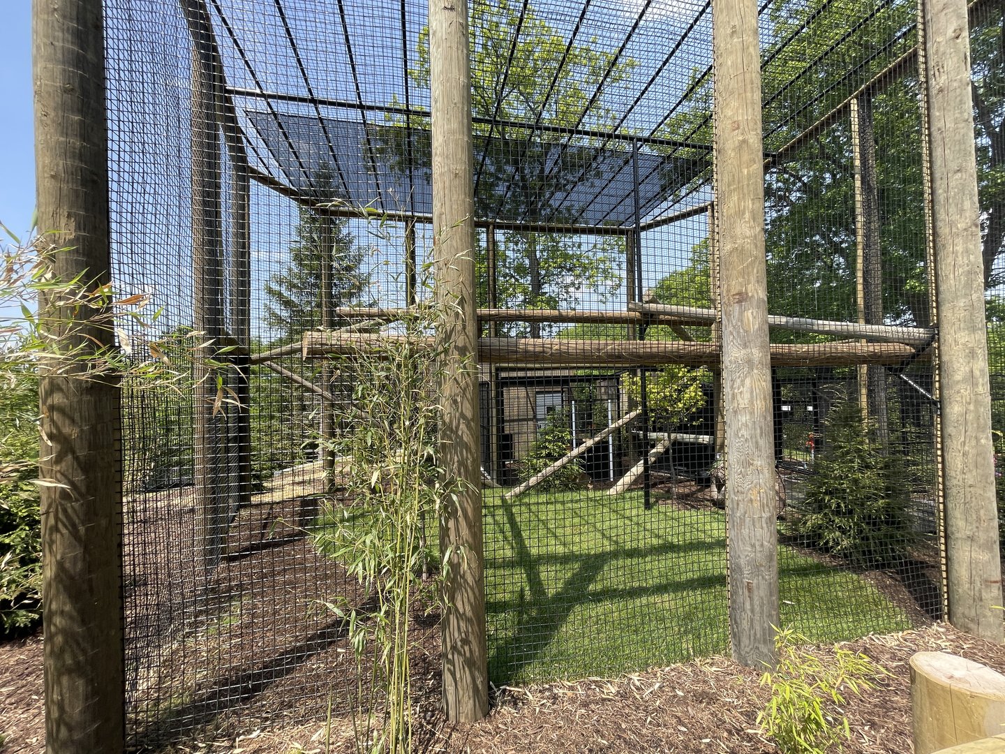 Red Panda/Reeve’s Muntjac exhibit
