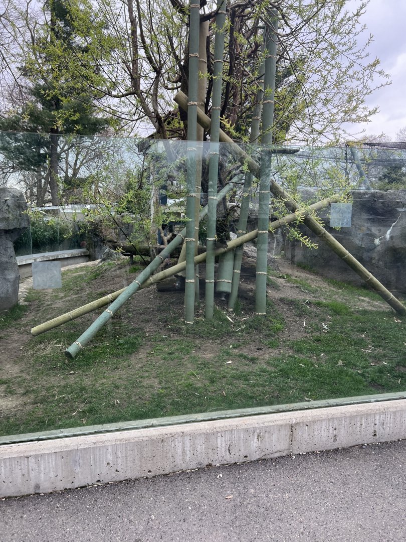 Red Panda/Reeve’s Muntjac Exhibit