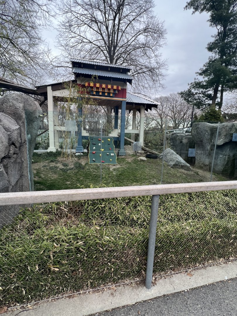 Red Panda/Reeve’s Muntjac Exhibit