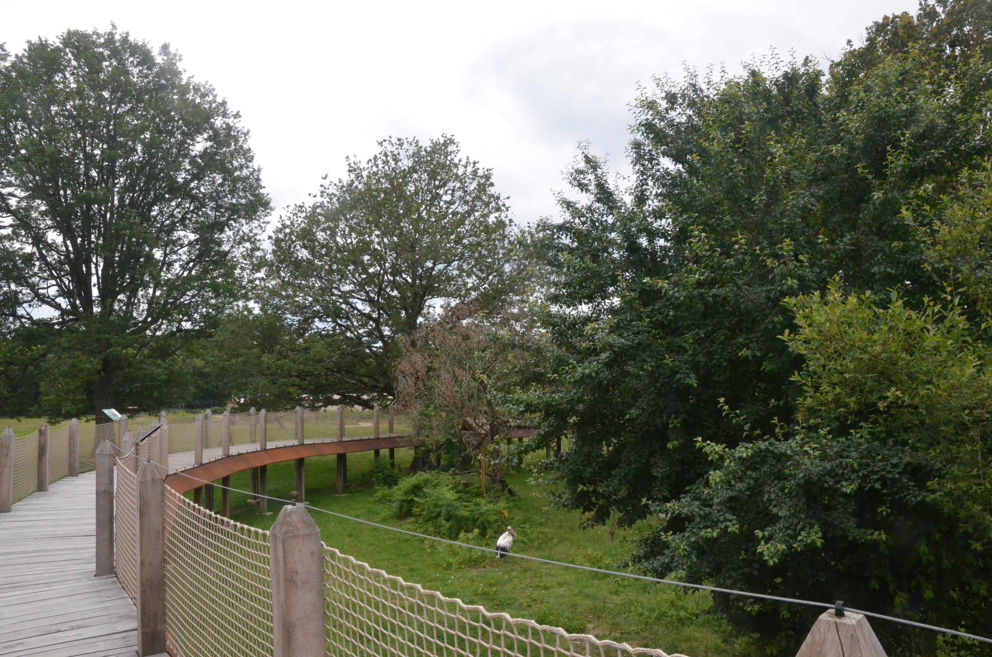 Red Panda/Reeves' Muntjac/Red-crowned Crane Enclosure at Haute-Touche, 14/06/18