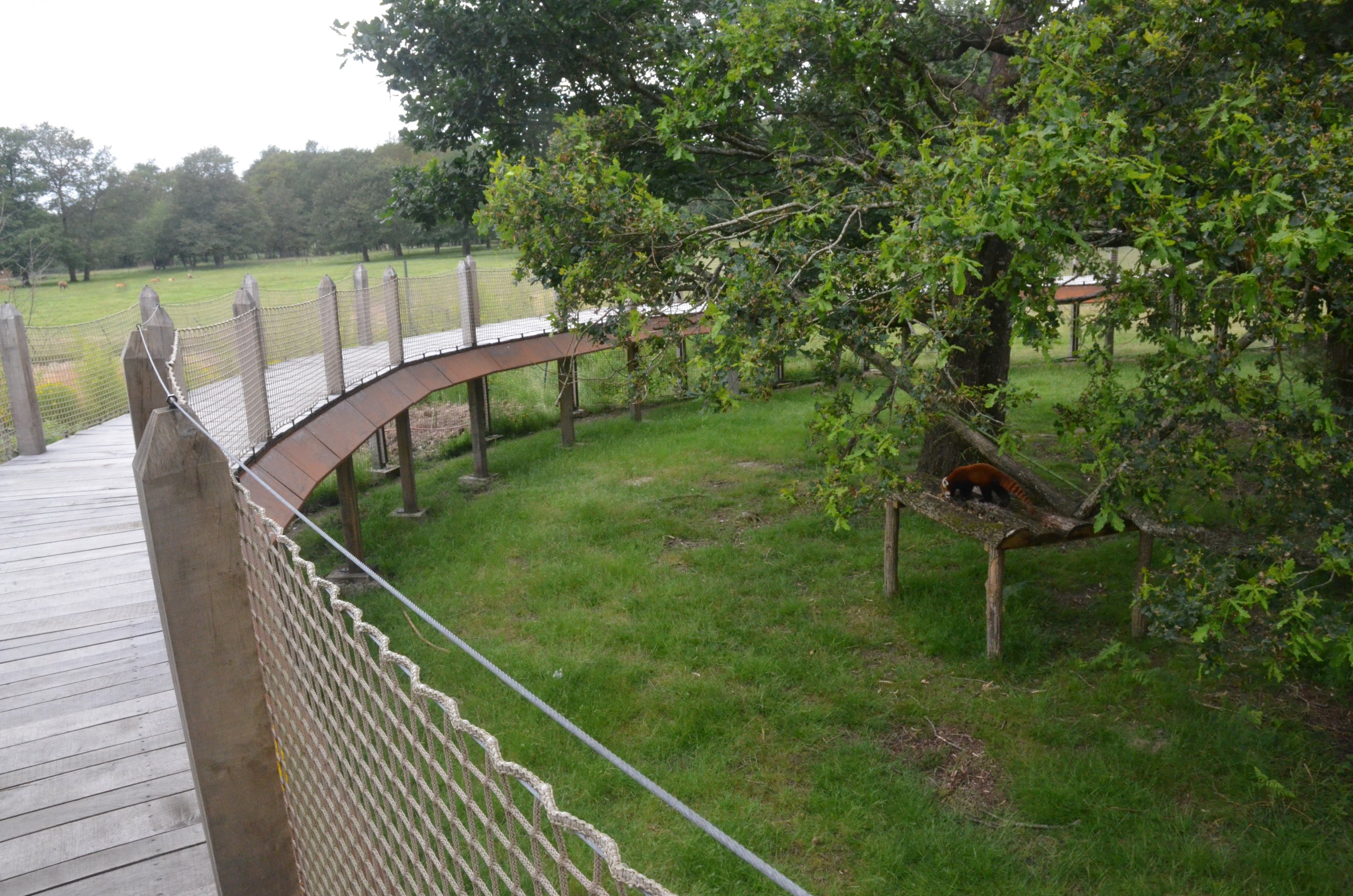 Red Panda/Reeves' Muntjac/Red-crowned Crane Enclosure at Haute-Touche, 14/06/18