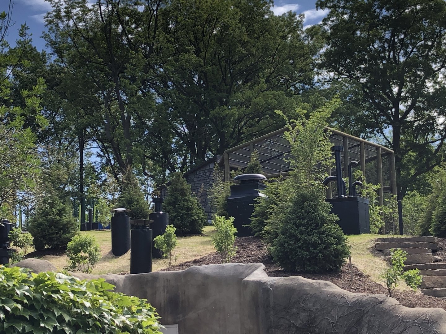 Red Panda Ridge Above Sea Lions