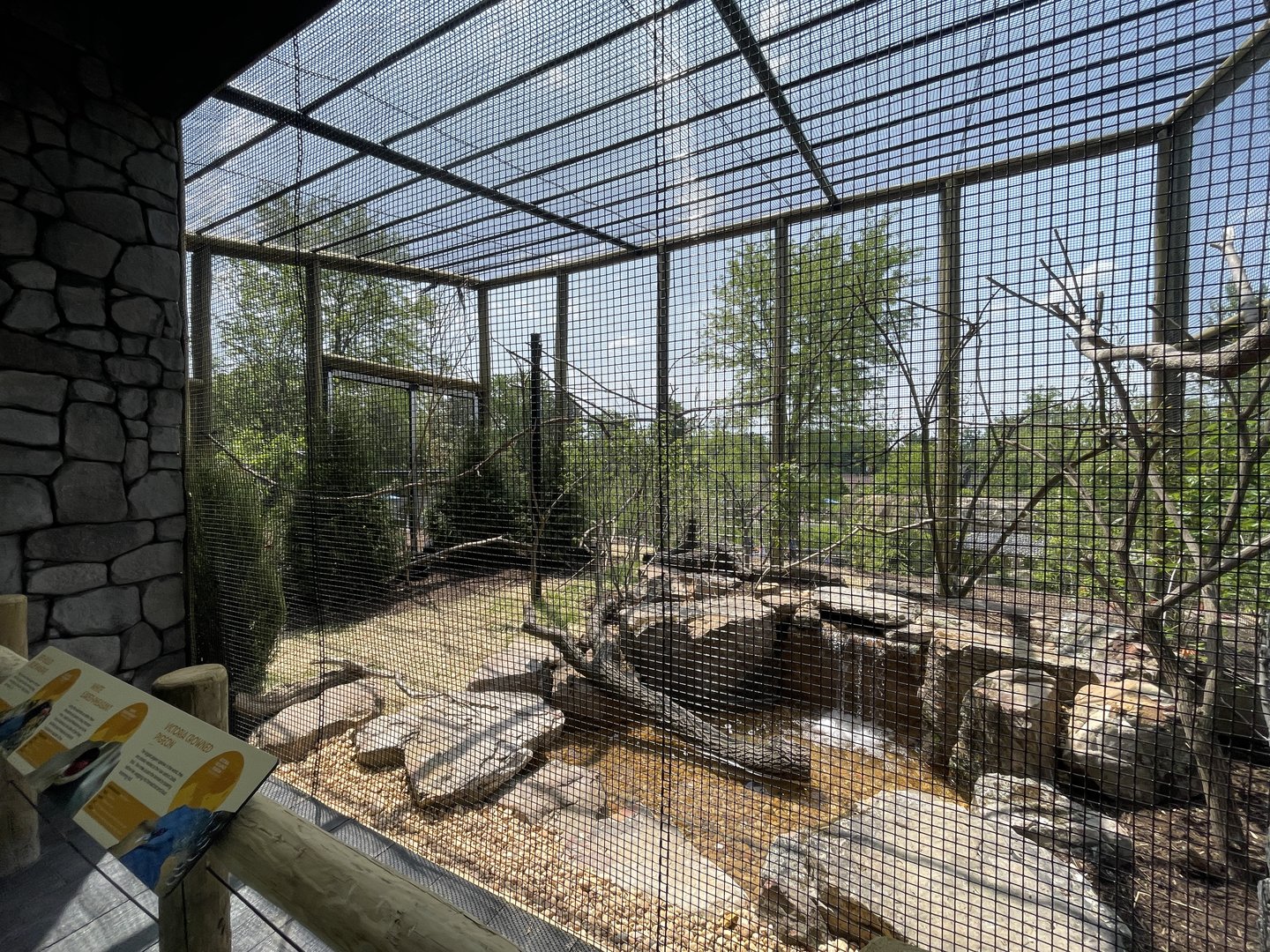 Red Panda Ridge aviary