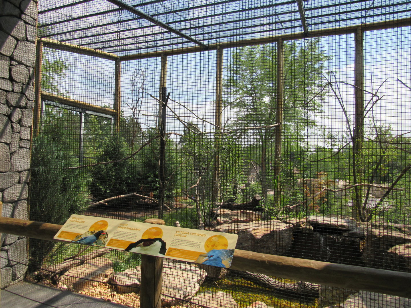 Red Panda Ridge Aviary