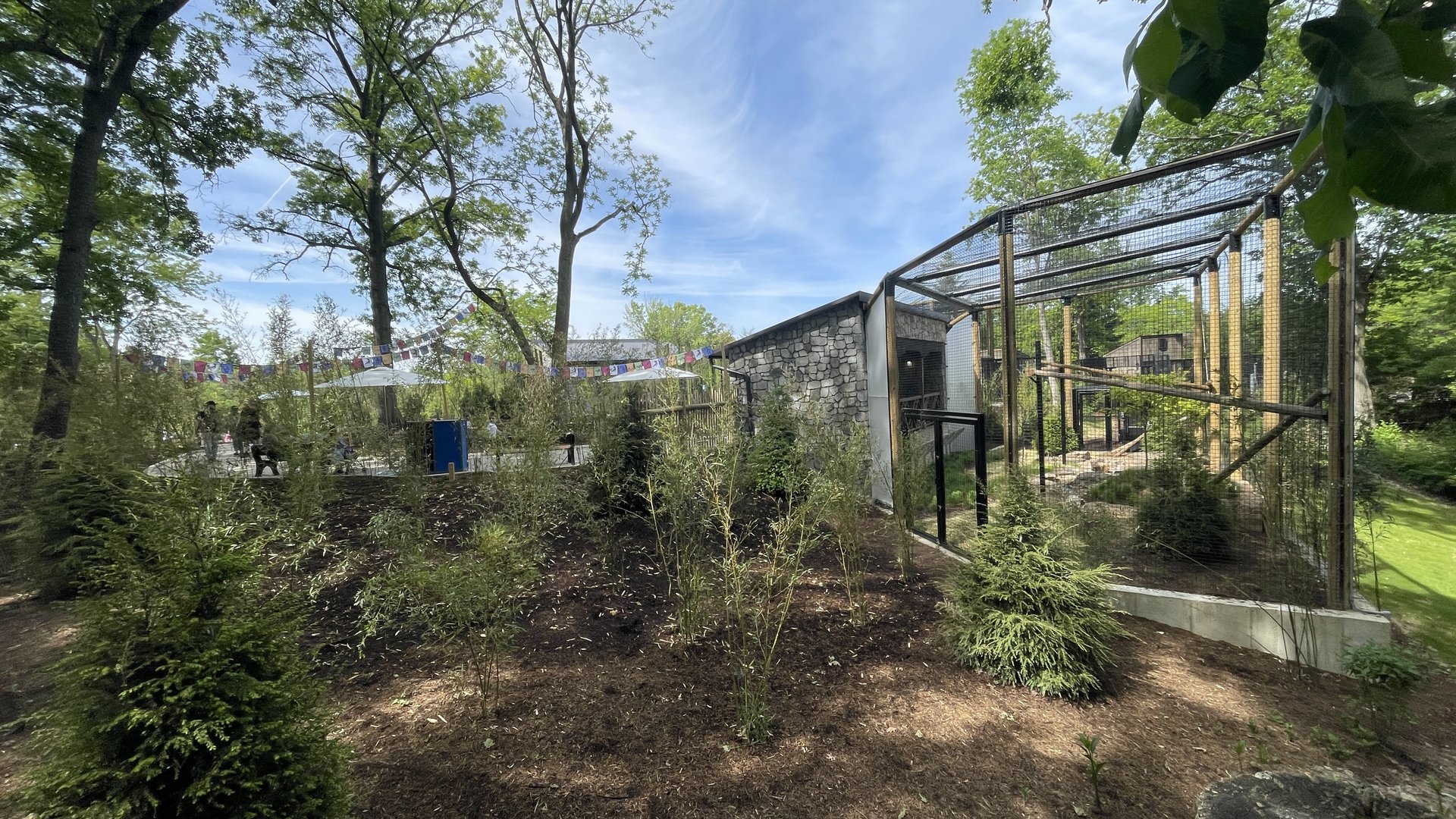 Red Panda Ridge view from boardwalk