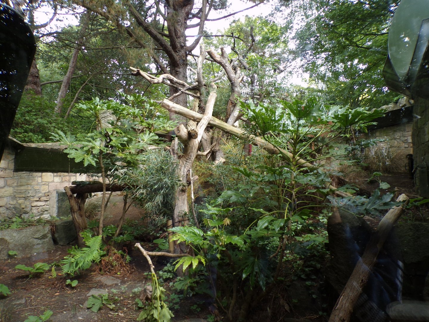 Red panda second enclosure