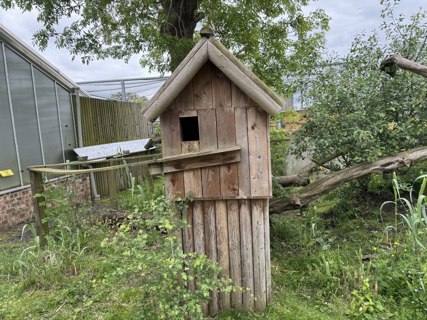 Red Panda Shelter at Woodside Wildlife Park (May 2024)