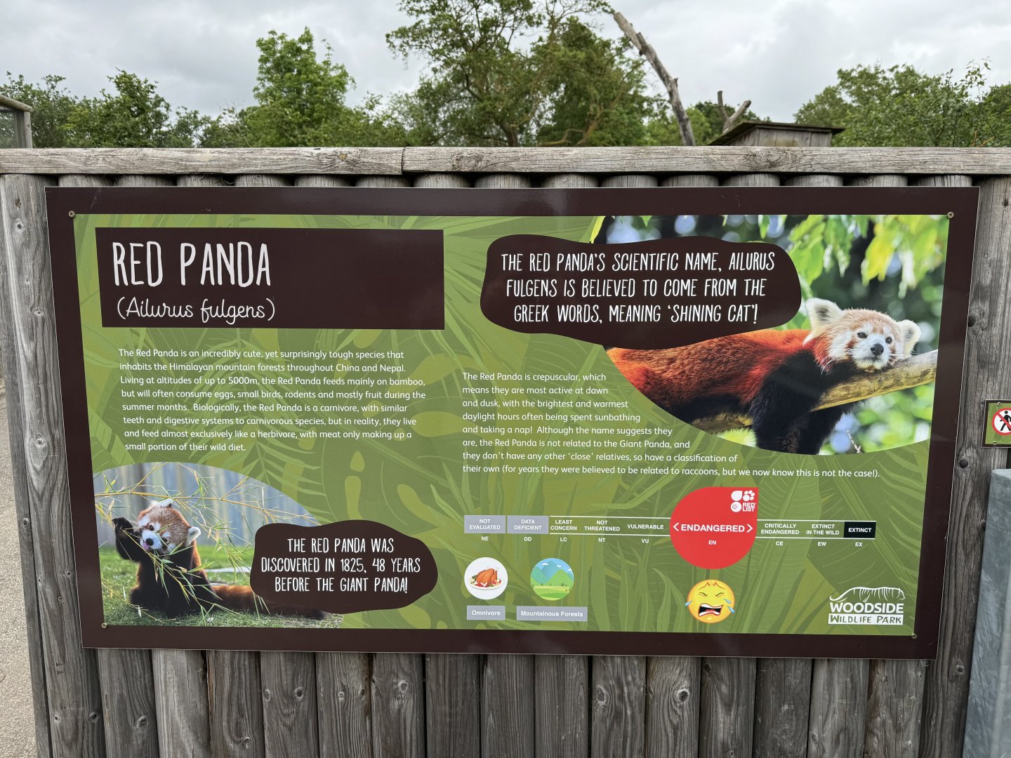 Red Panda Sign at Woodside Wildlife Park (May 2024)