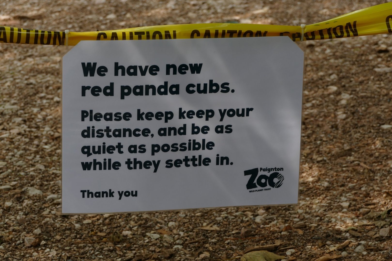 Red panda sign, July 2021