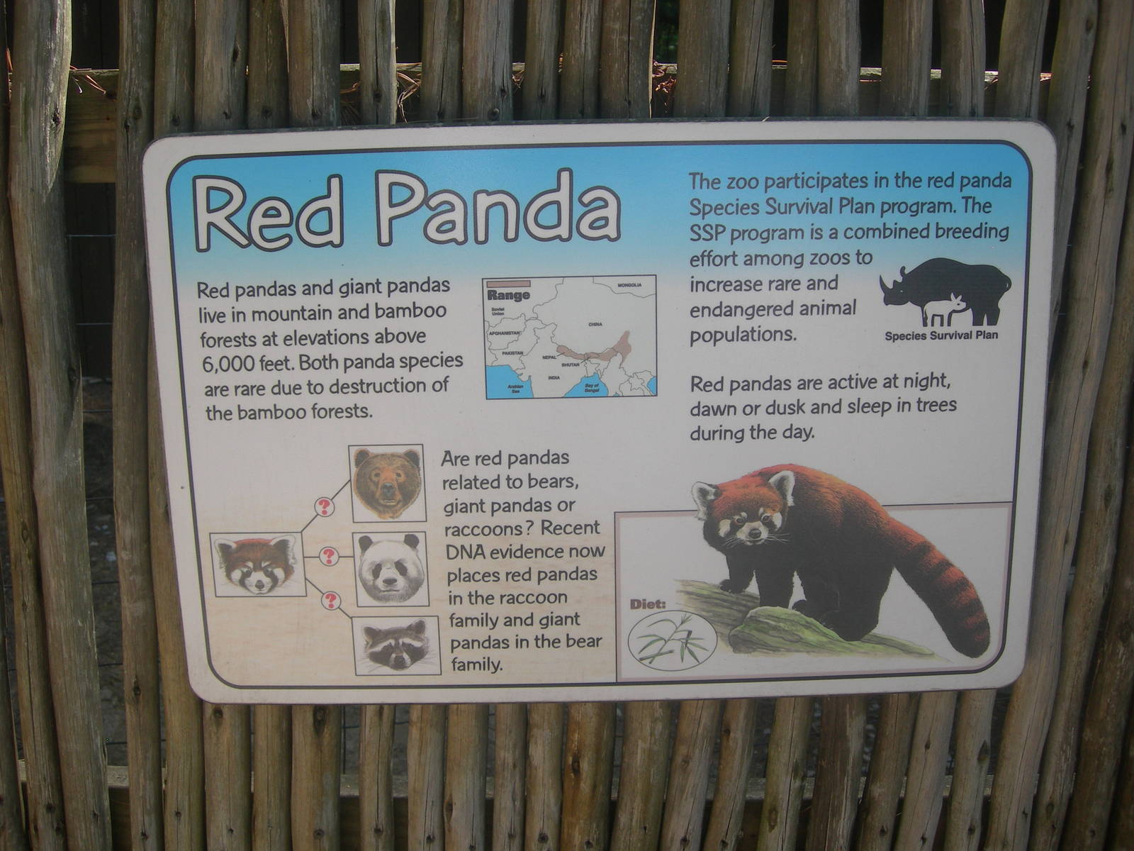 Red Panda Sign