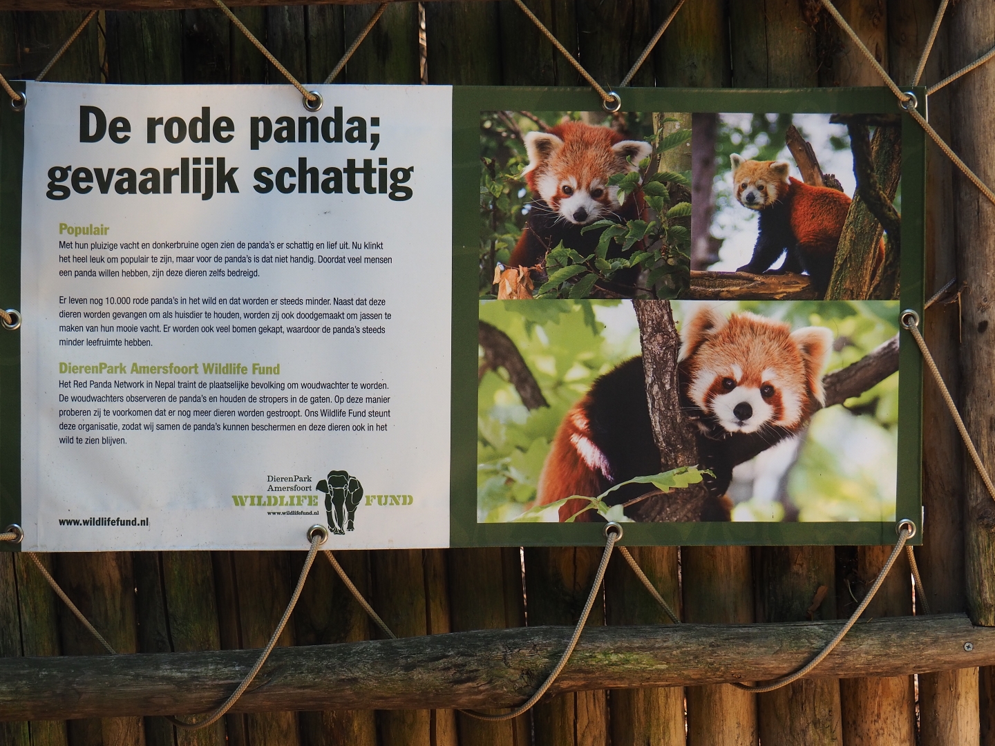 Red panda sign