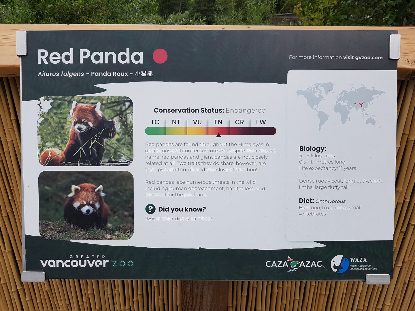 Red Panda Sign