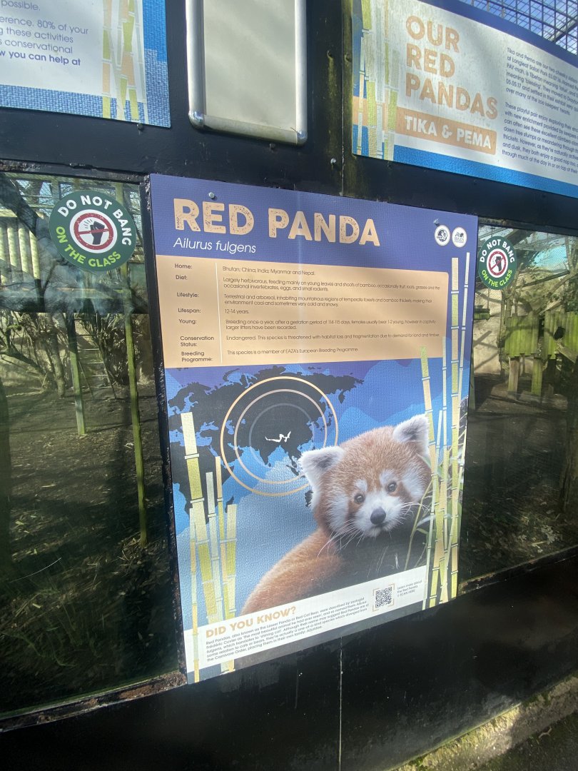 Red panda signage 040324